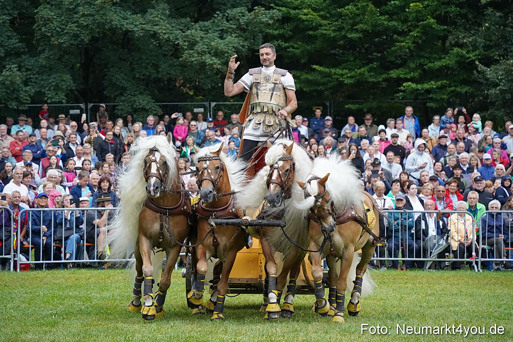 Pferde und Fohlenschau 2024 0063
