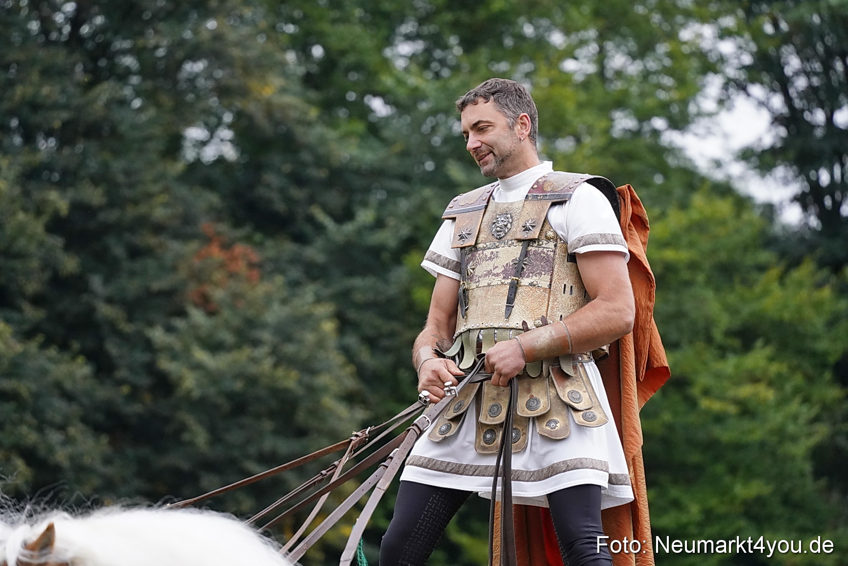 Pferde und Fohlenschau 2024 0064