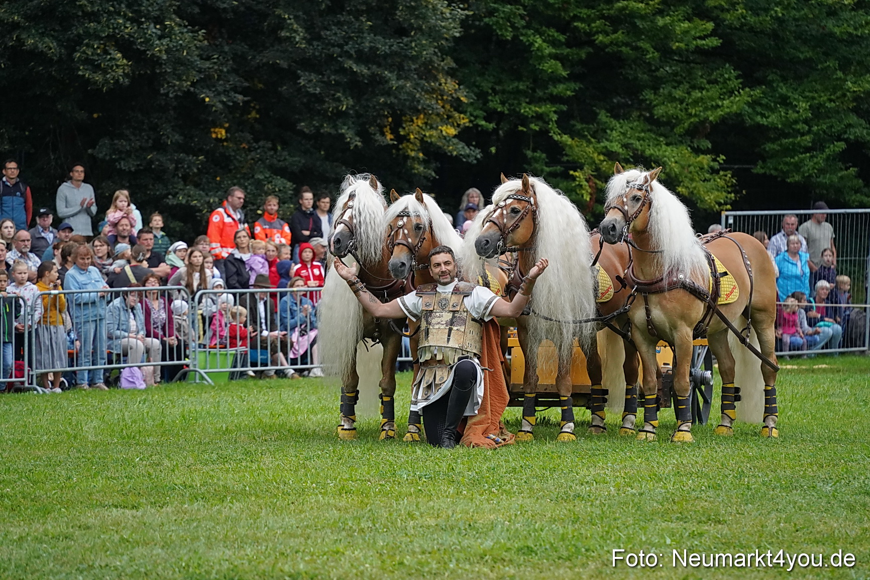 Pferde und Fohlenschau 2024 0065