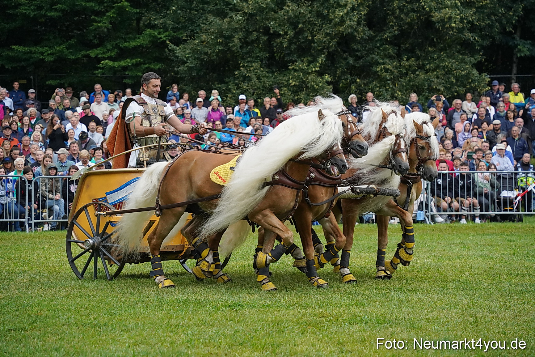 Pferde und Fohlenschau 2024 0068