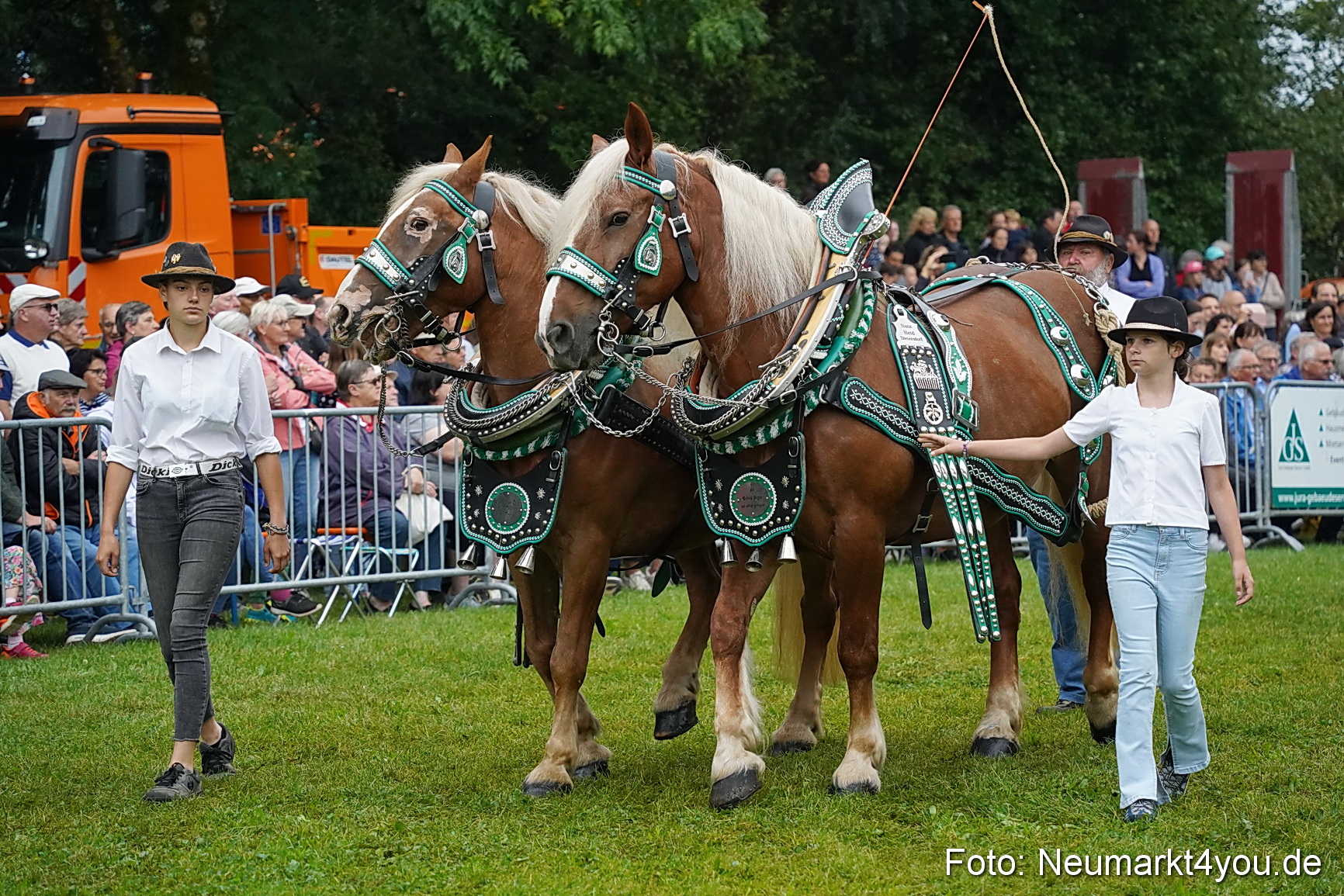 Pferde und Fohlenschau 2024 0074