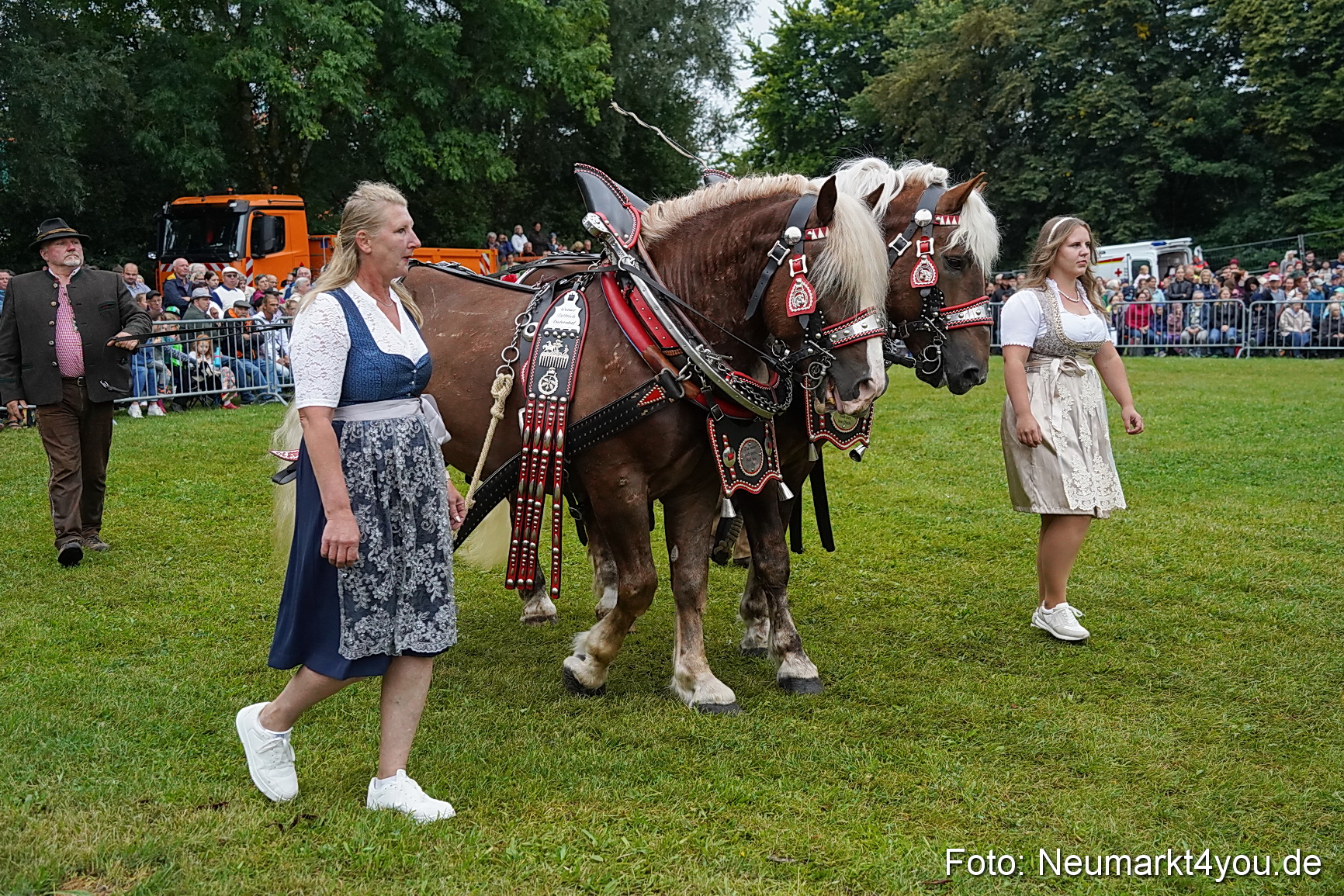 Pferde und Fohlenschau 2024 0077