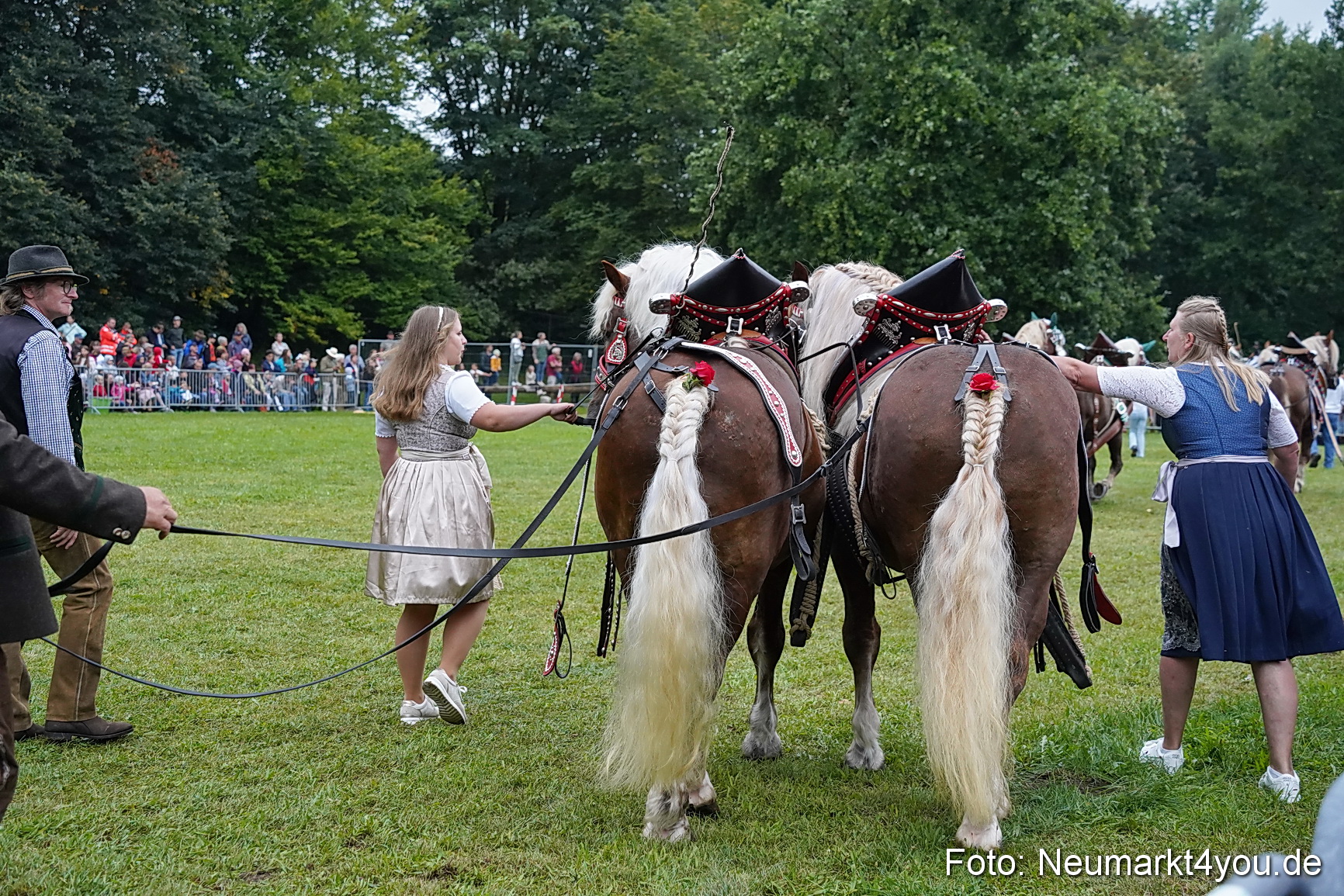 Pferde und Fohlenschau 2024 0078