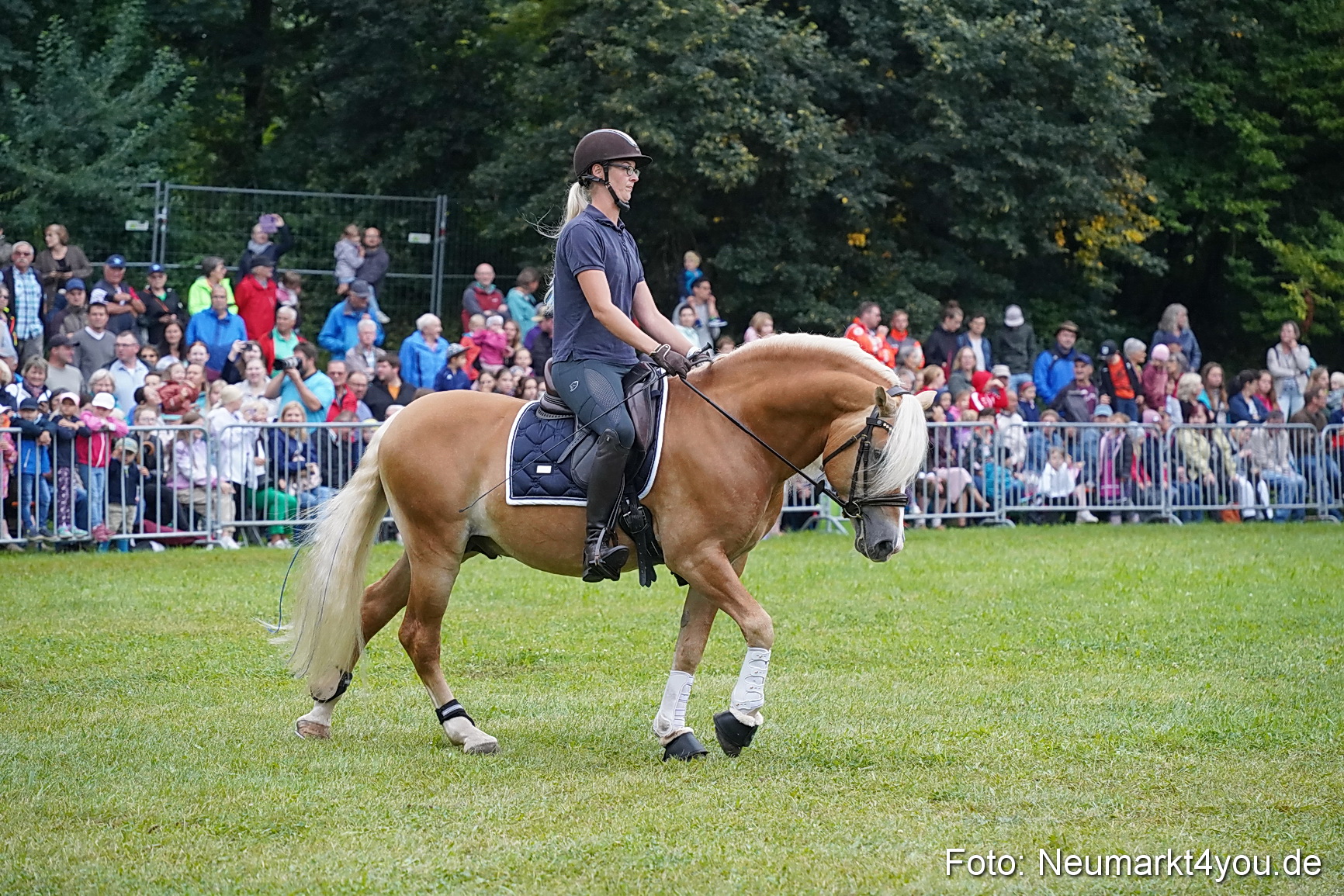 Pferde und Fohlenschau 2024 0083