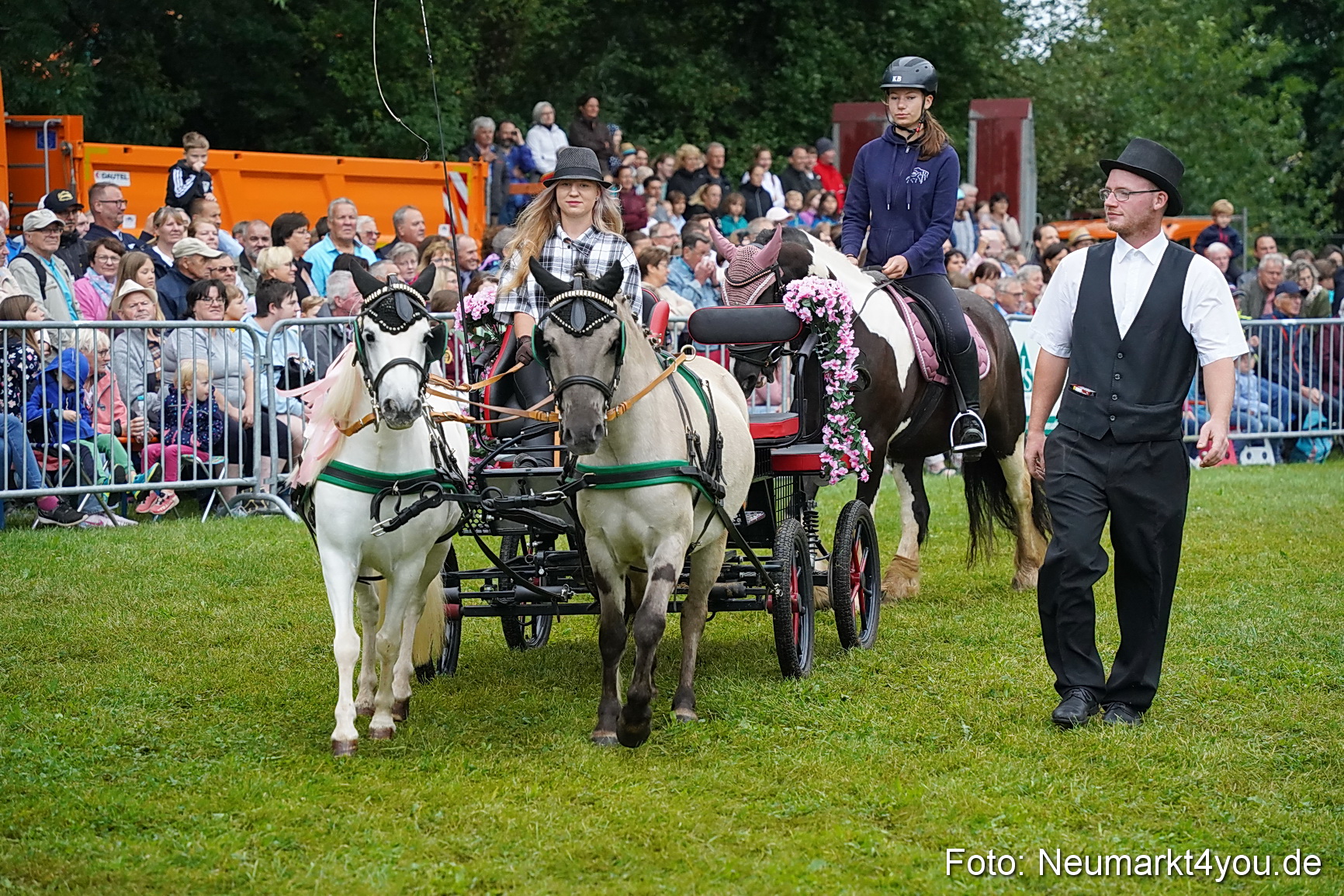Pferde und Fohlenschau 2024 0084