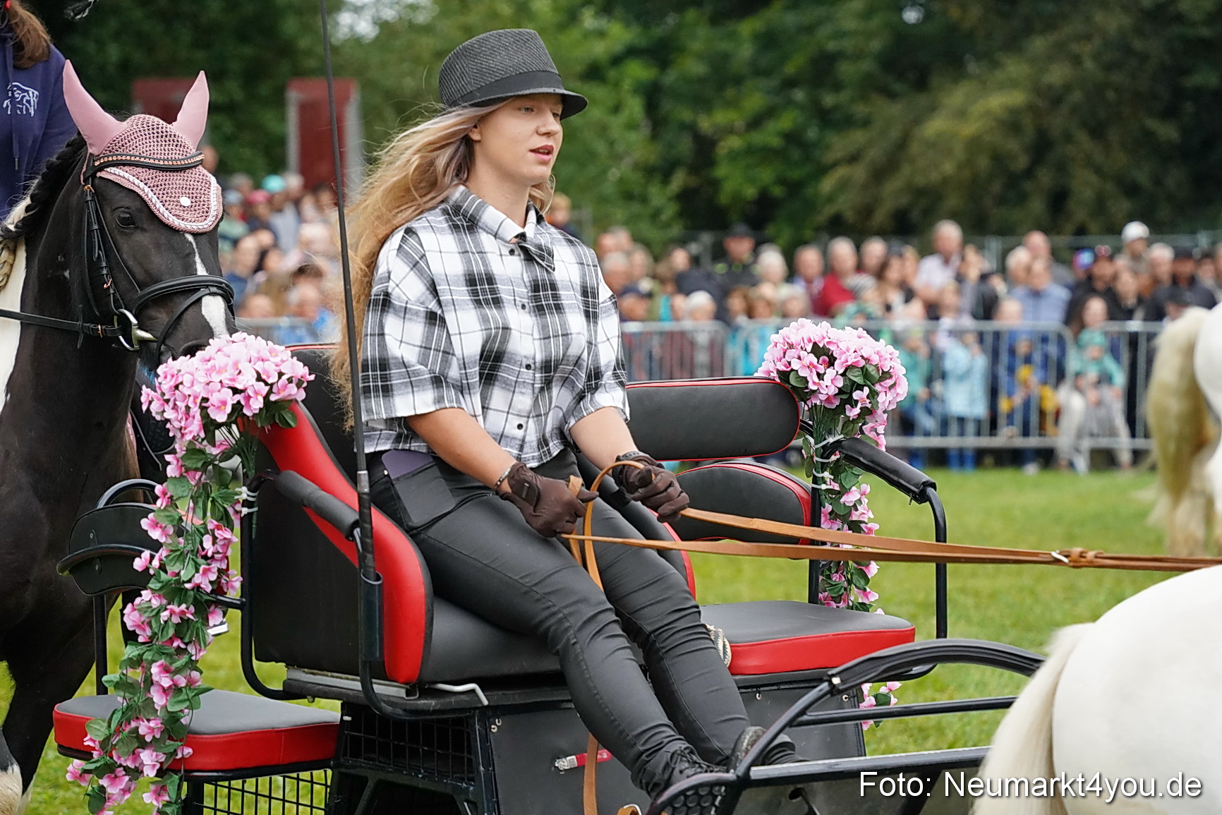 Pferde und Fohlenschau 2024 0085