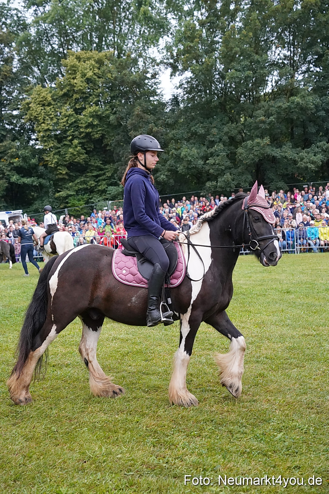 Pferde und Fohlenschau 2024 0086