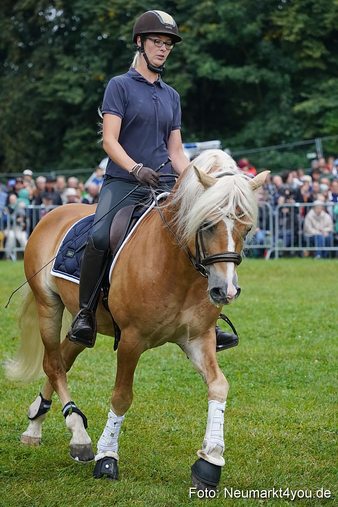 Pferde und Fohlenschau 2024 0089