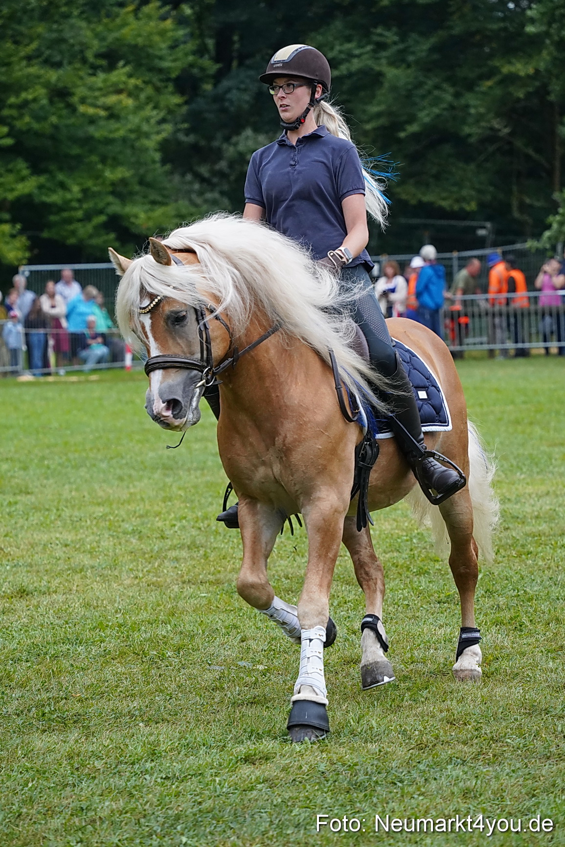 Pferde und Fohlenschau 2024 0092