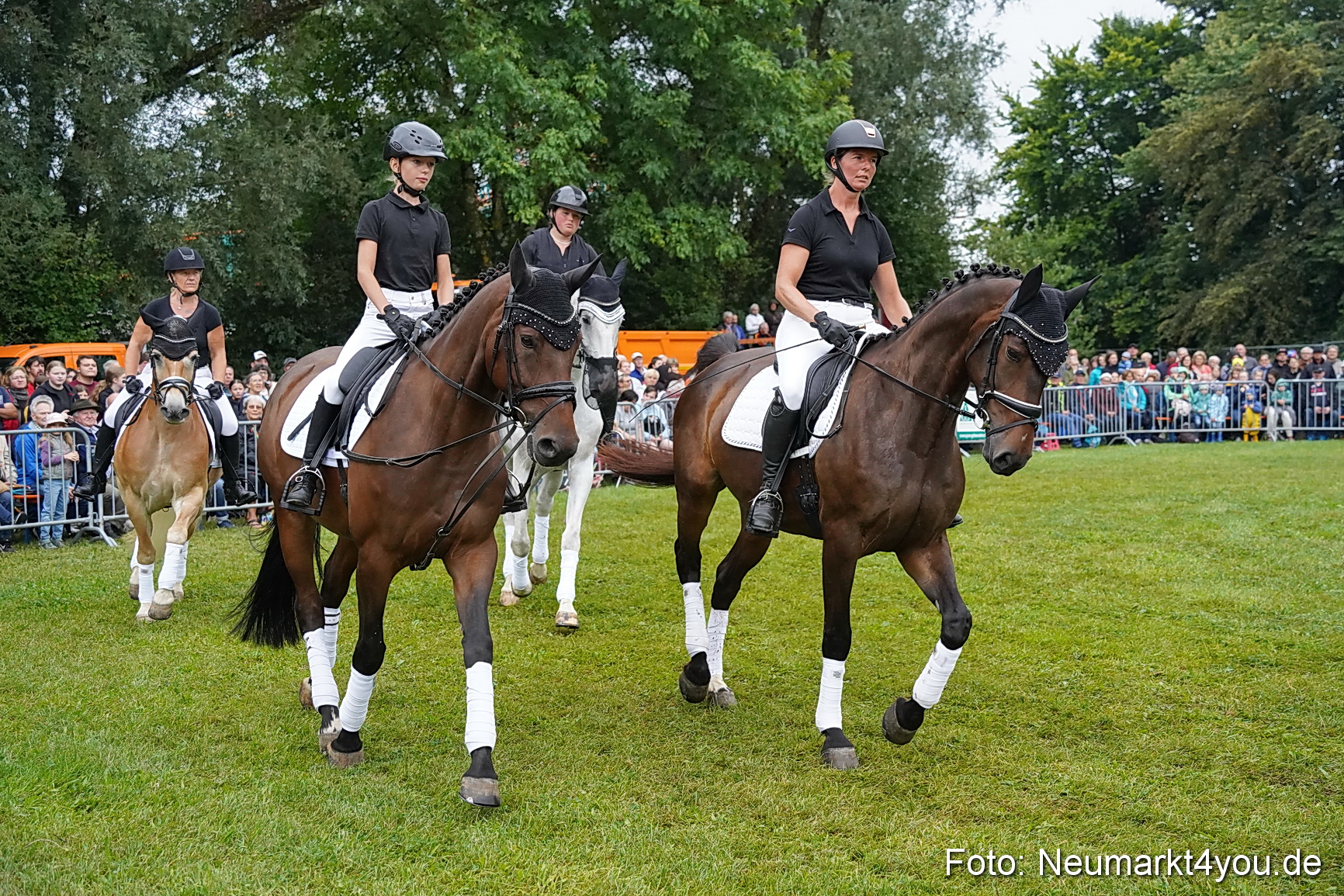 Pferde und Fohlenschau 2024 0093