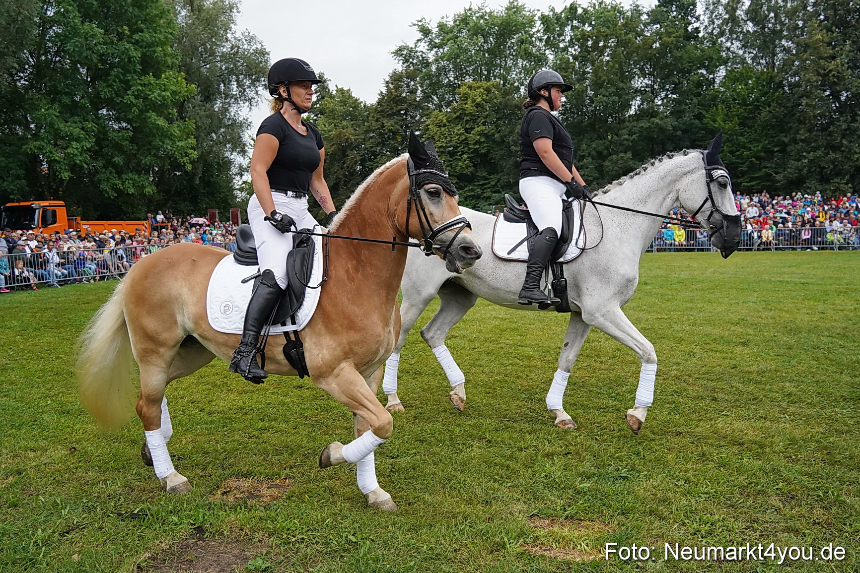 Pferde und Fohlenschau 2024 0094