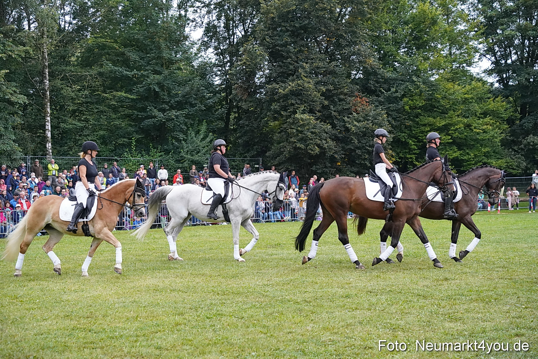 Pferde und Fohlenschau 2024 0095