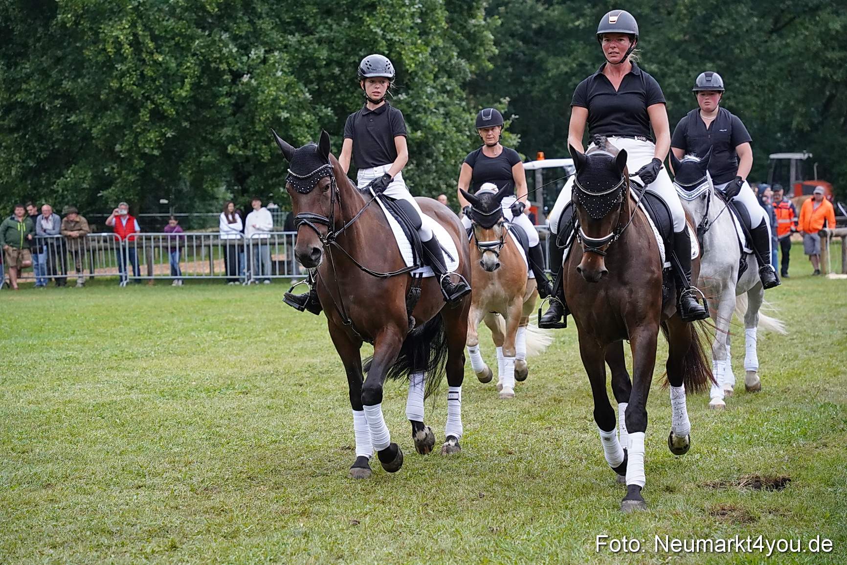 Pferde und Fohlenschau 2024 0096