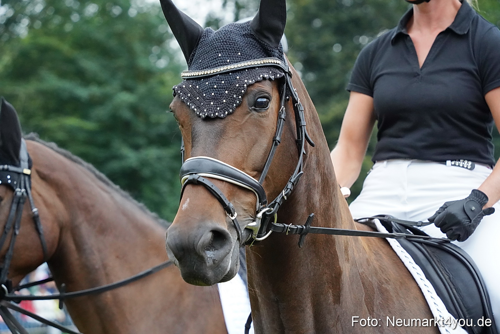 Pferde und Fohlenschau 2024 0097