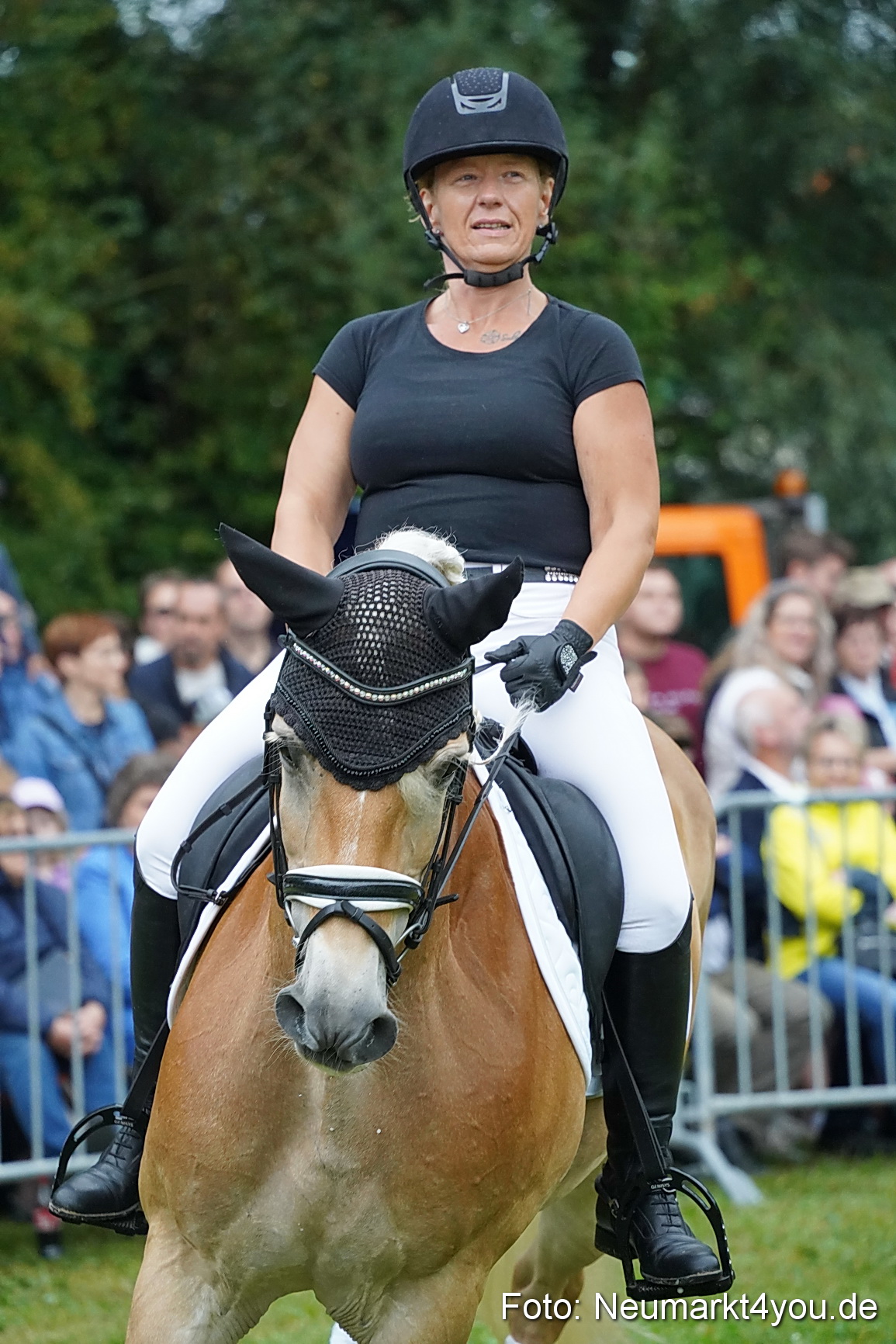 Pferde und Fohlenschau 2024 0099