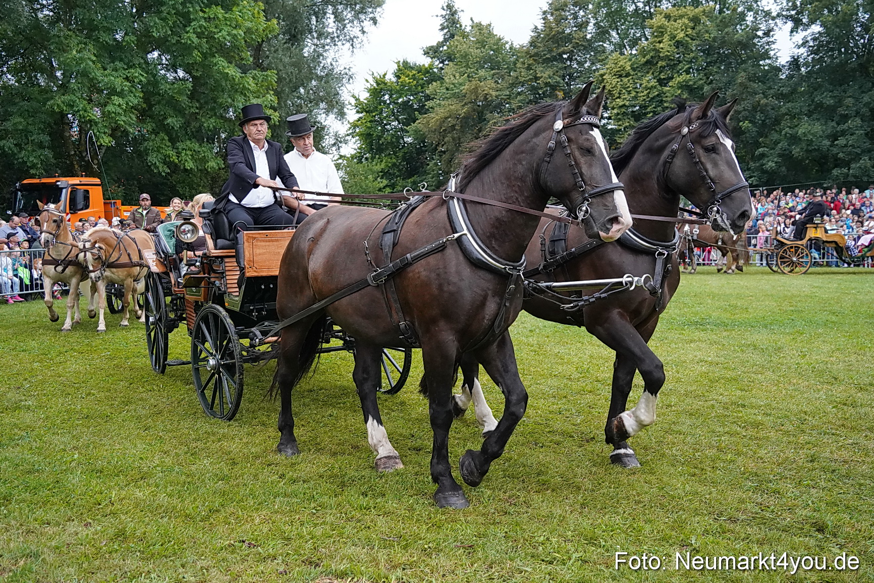 Pferde und Fohlenschau 2024 0102