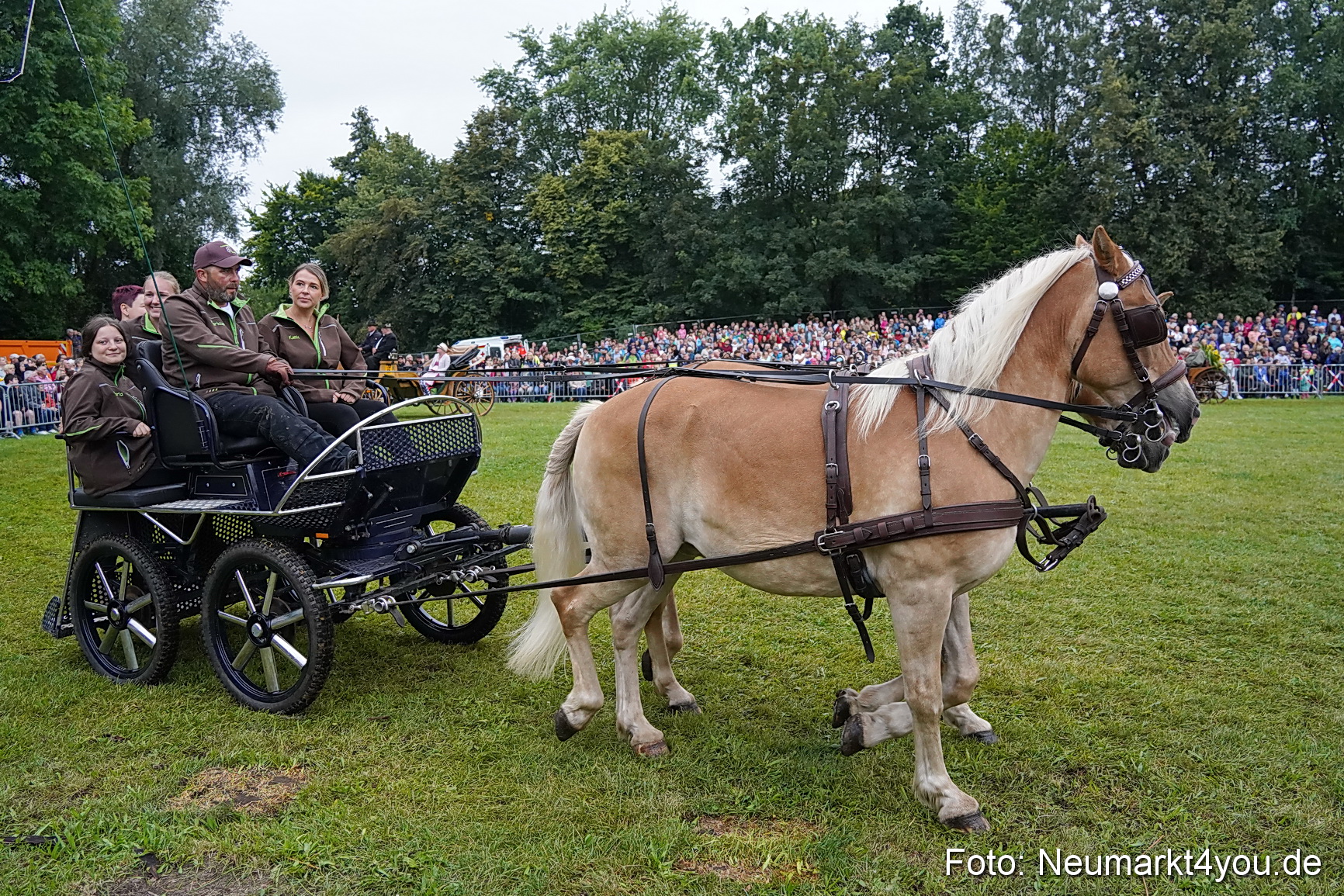 Pferde und Fohlenschau 2024 0105