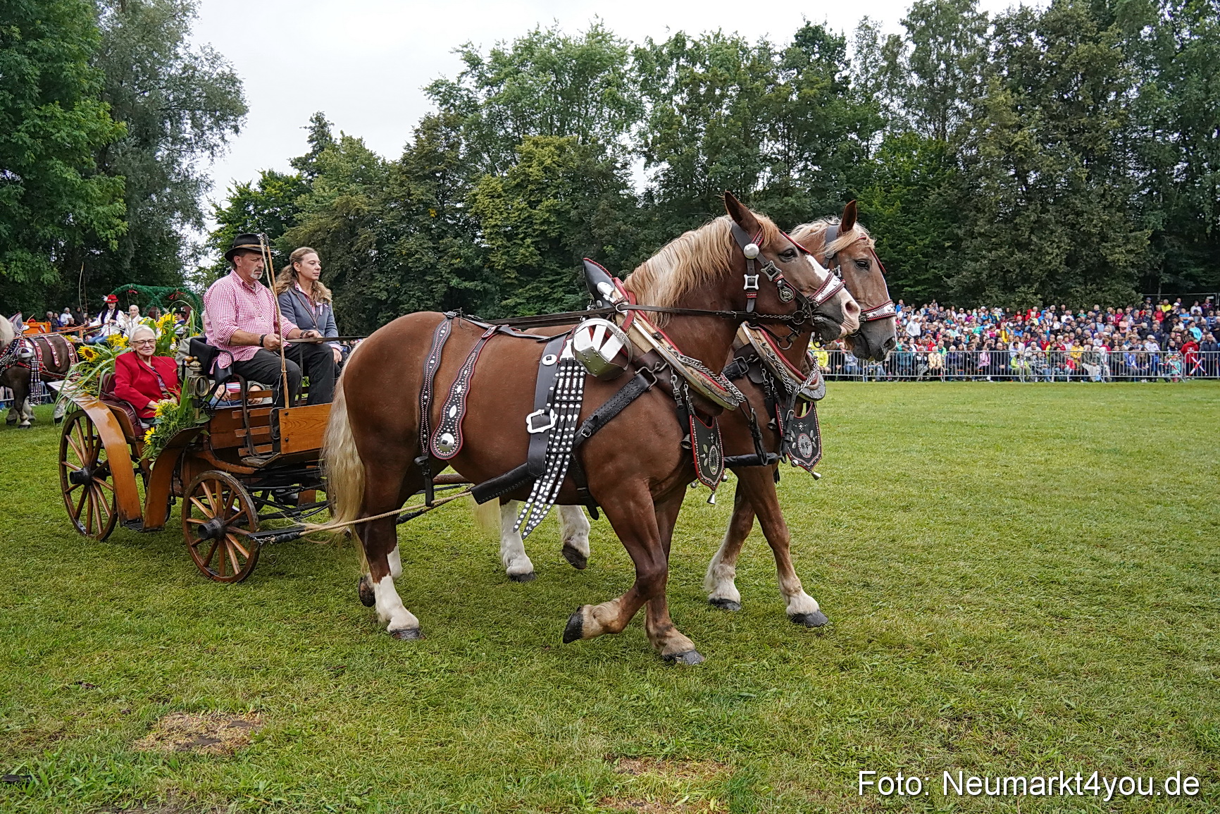 Pferde und Fohlenschau 2024 0108
