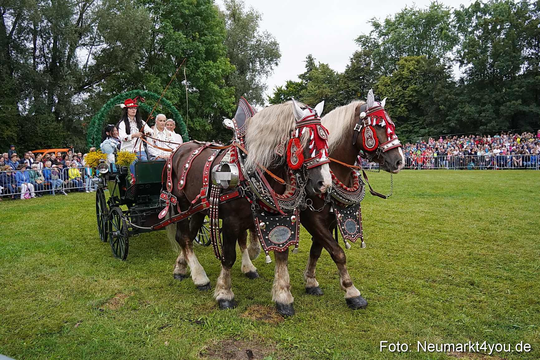 Pferde und Fohlenschau 2024 0110