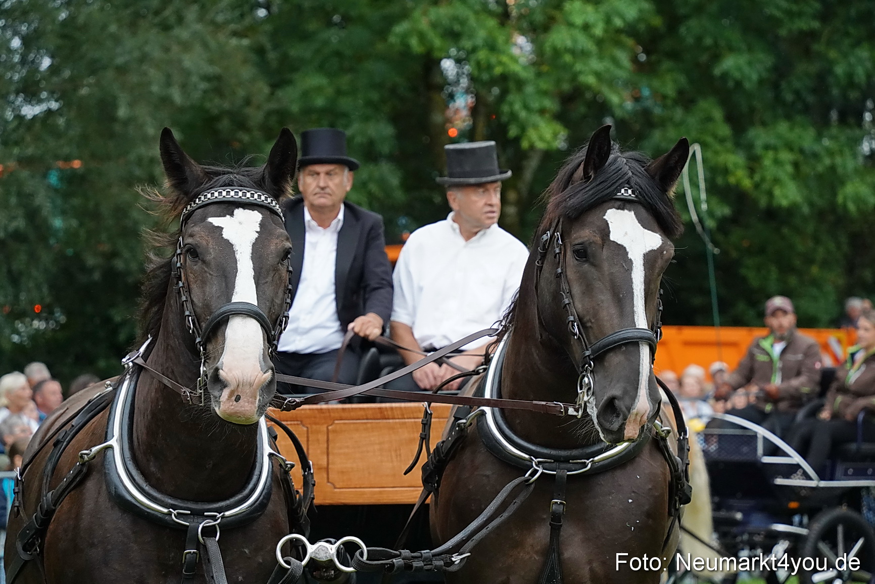 Pferde und Fohlenschau 2024 0112