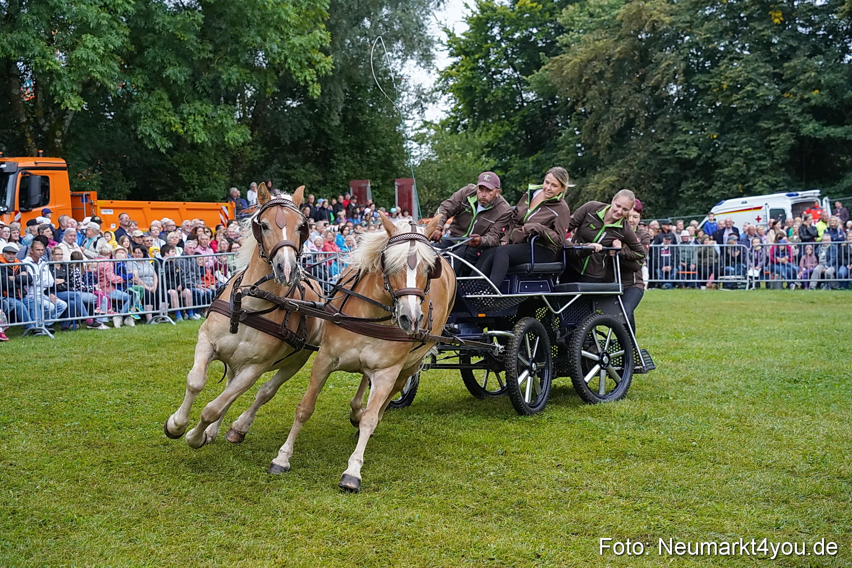 Pferde und Fohlenschau 2024 0113