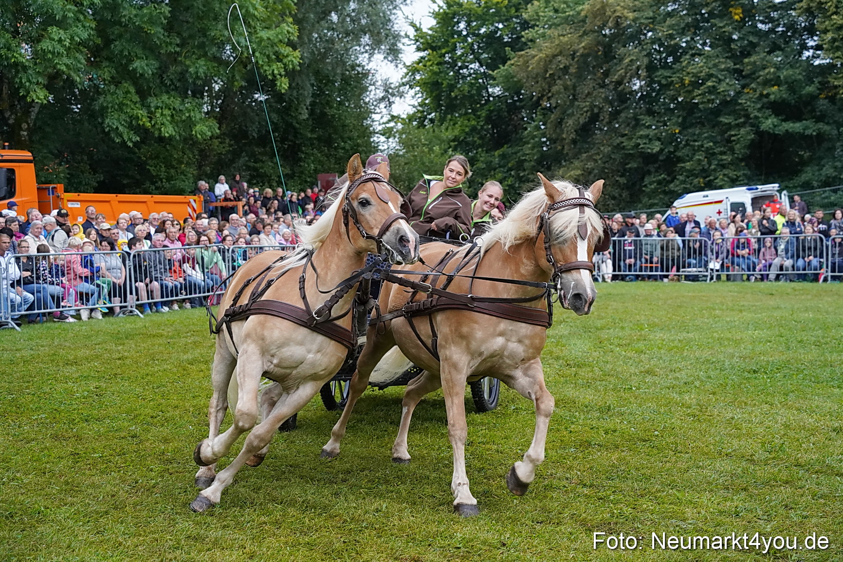 Pferde und Fohlenschau 2024 0114
