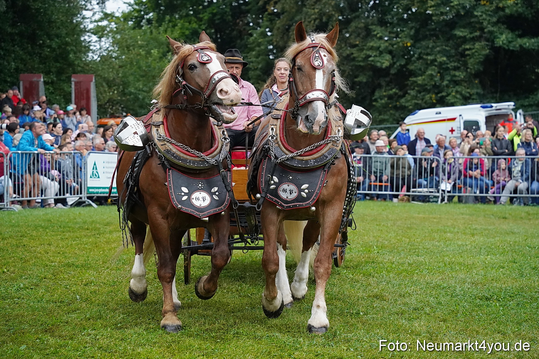 Pferde und Fohlenschau 2024 0116