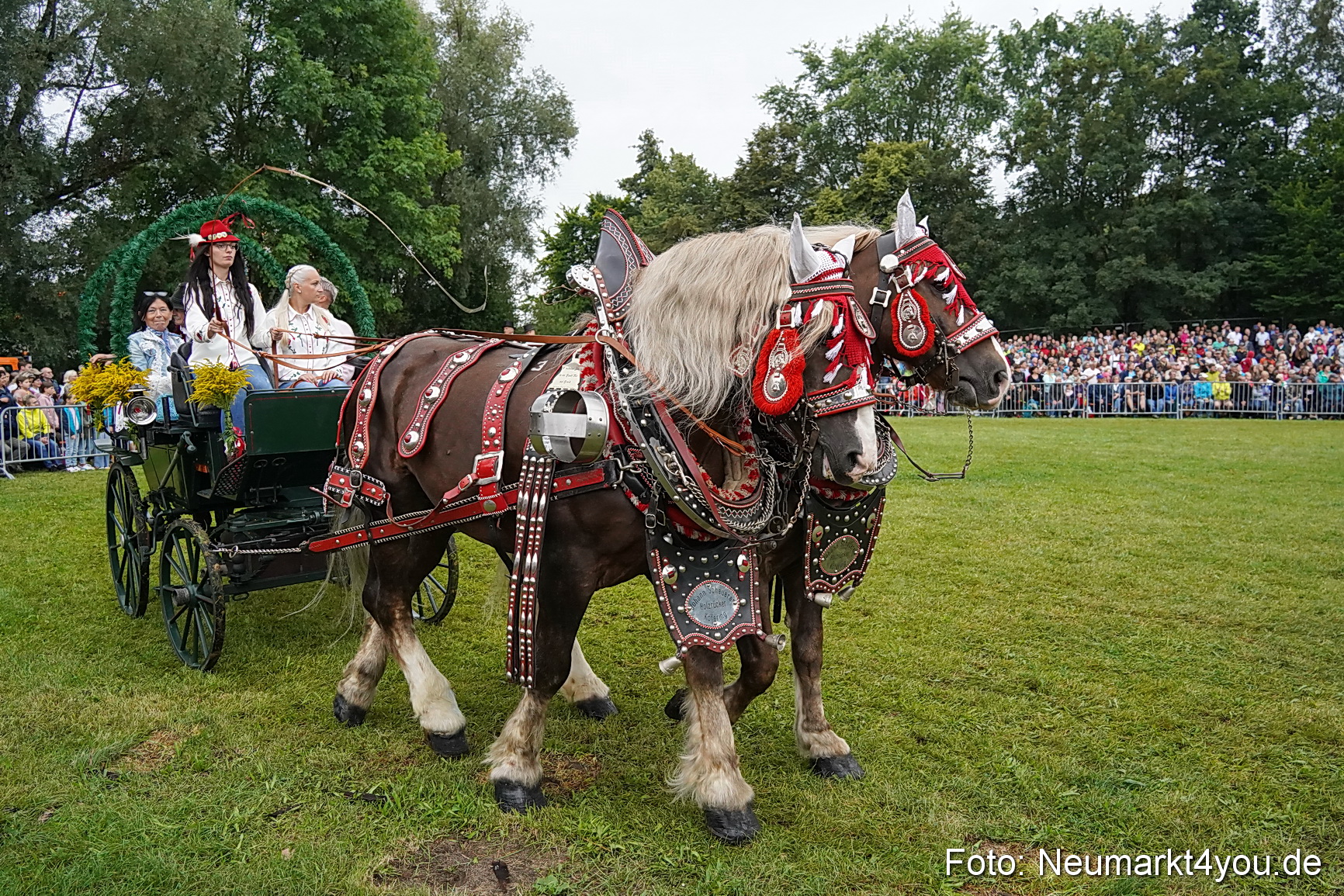 Pferde und Fohlenschau 2024 0117