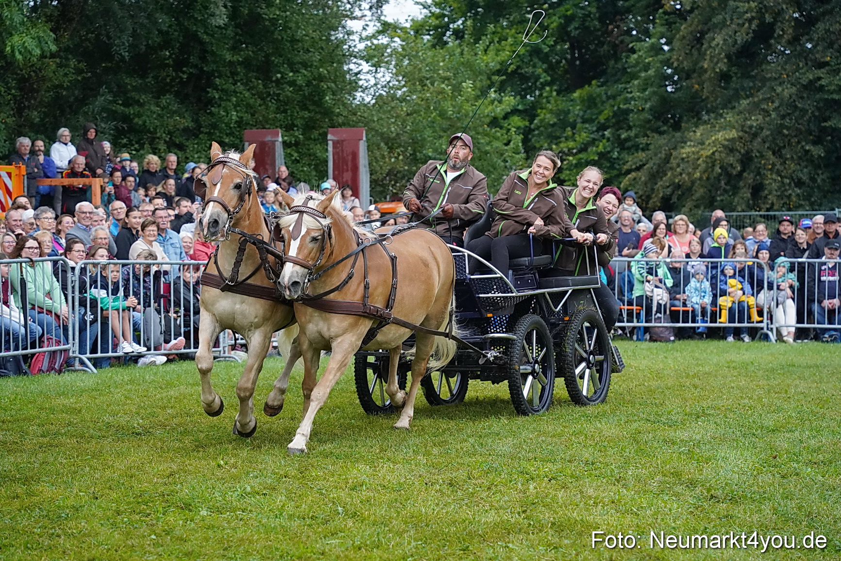 Pferde und Fohlenschau 2024 0118