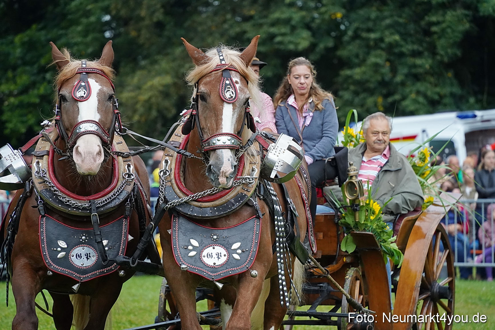 Pferde und Fohlenschau 2024 0121