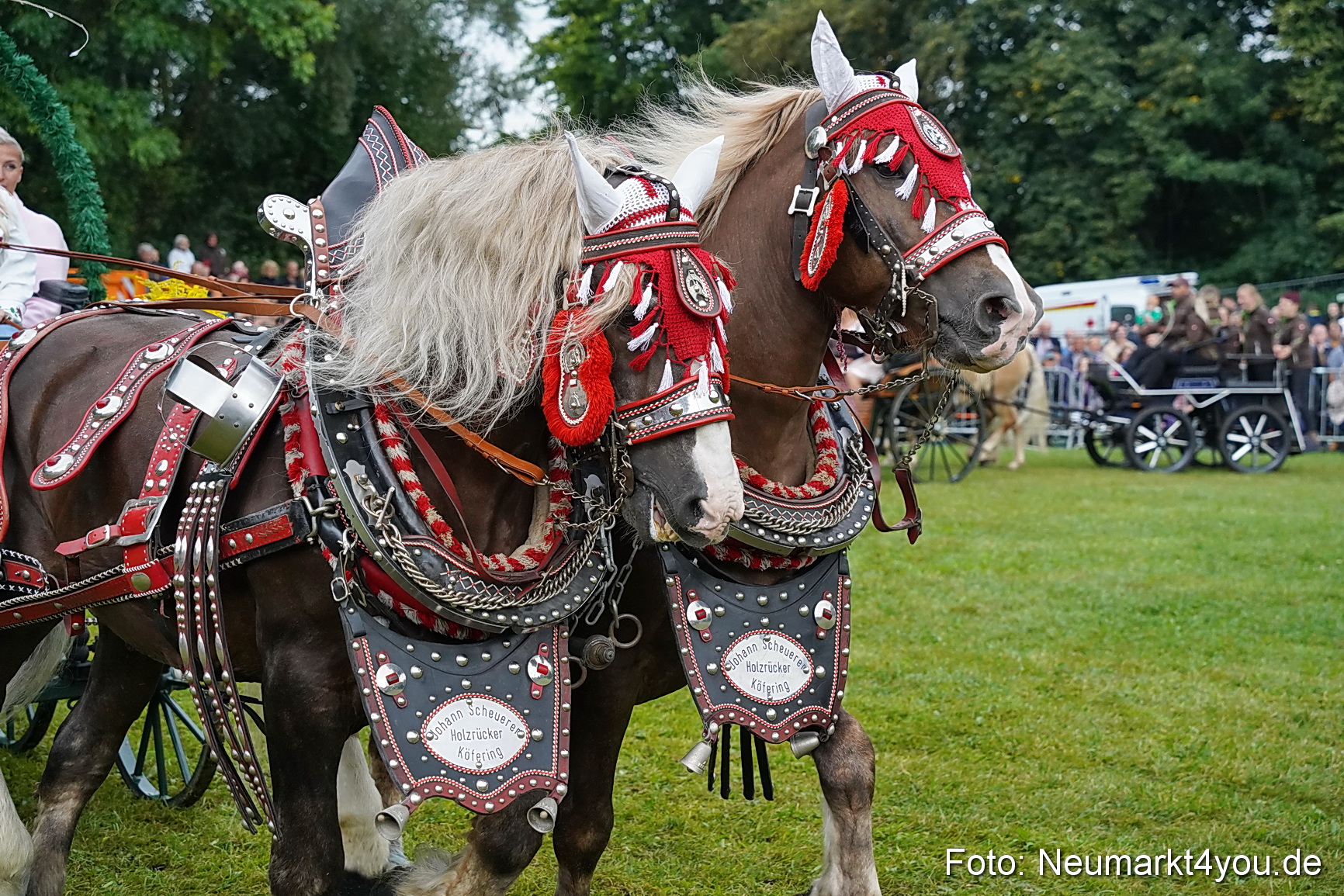 Pferde und Fohlenschau 2024 0123