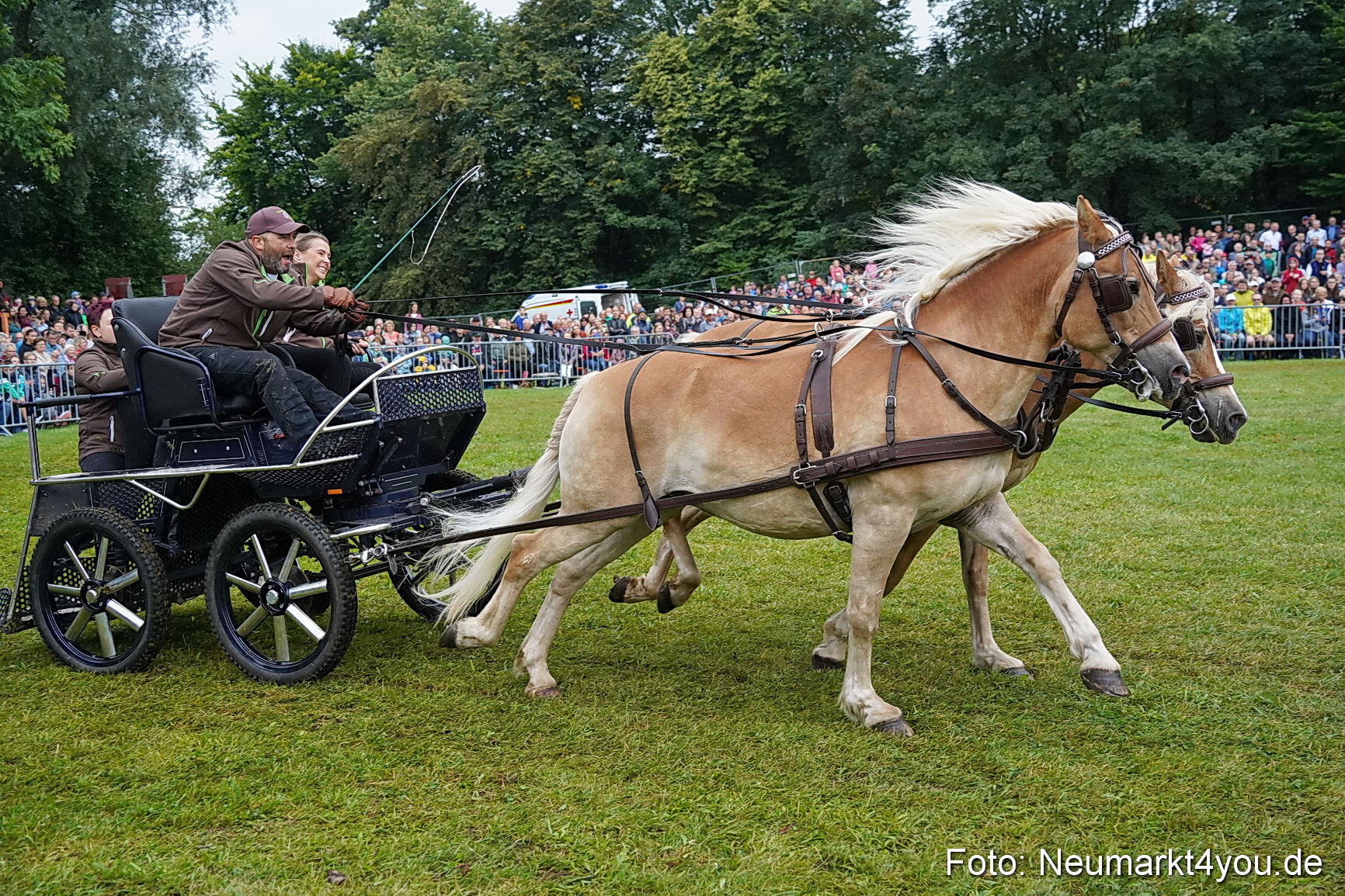 Pferde und Fohlenschau 2024 0127