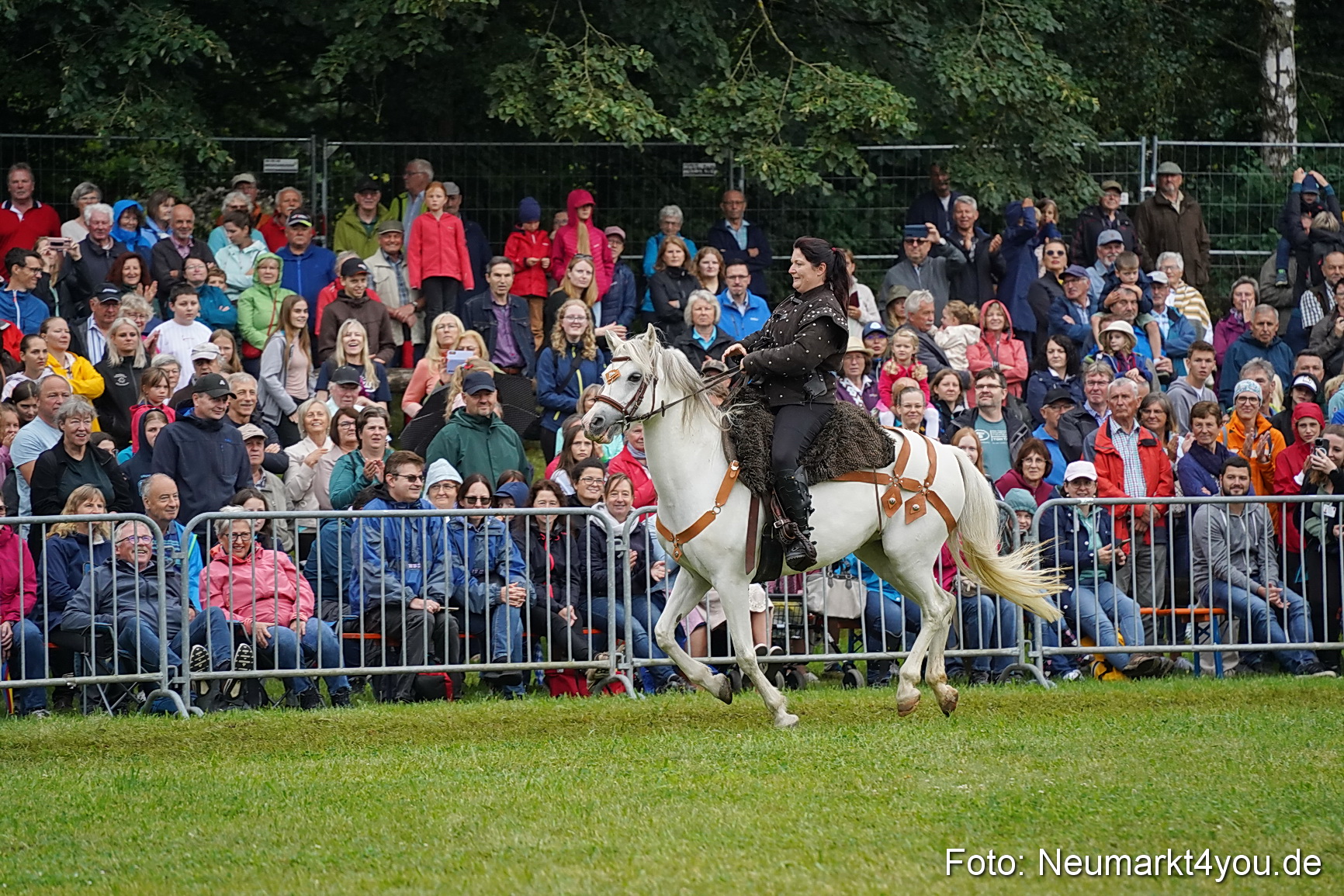 Pferde und Fohlenschau 2024 0128