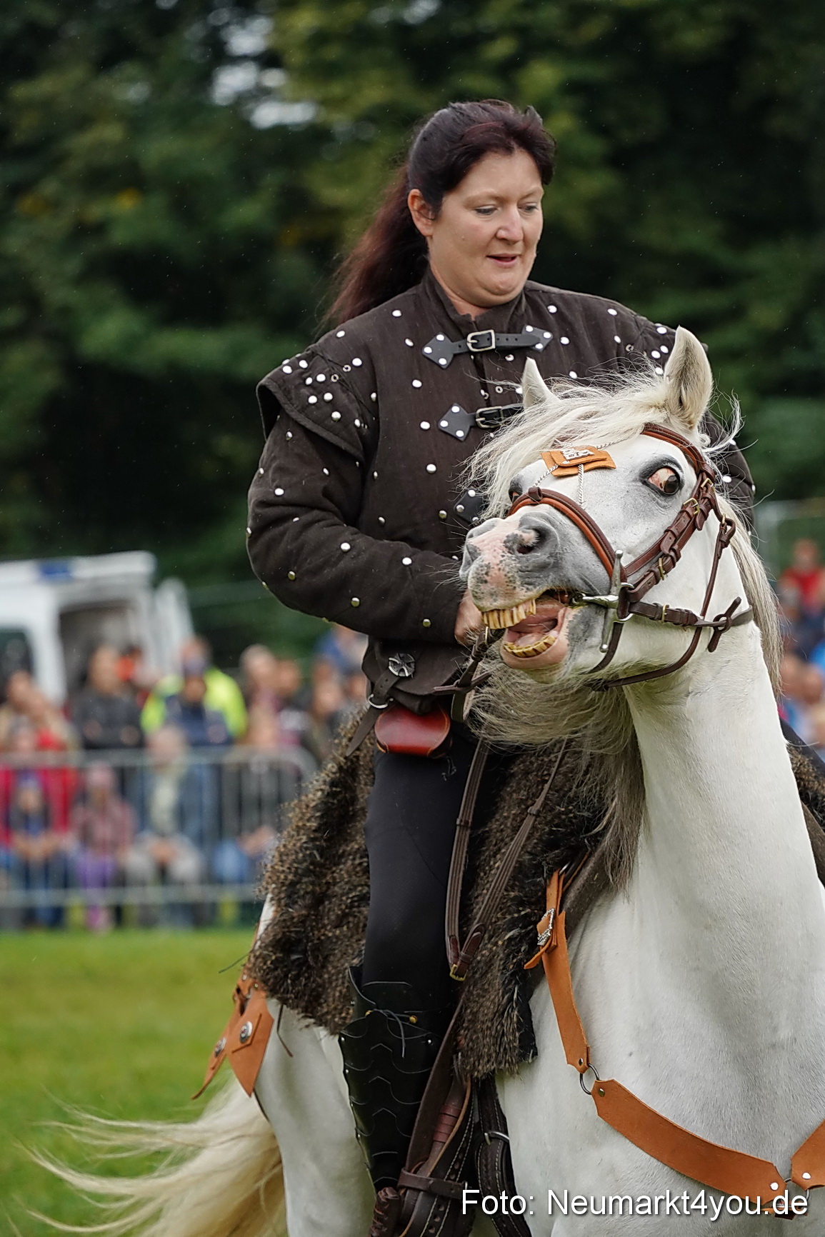 Pferde und Fohlenschau 2024 0129