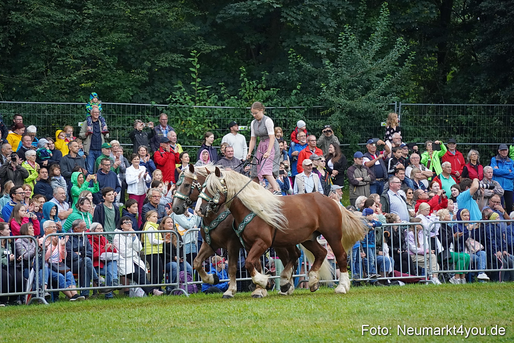 Pferde und Fohlenschau 2024 0130