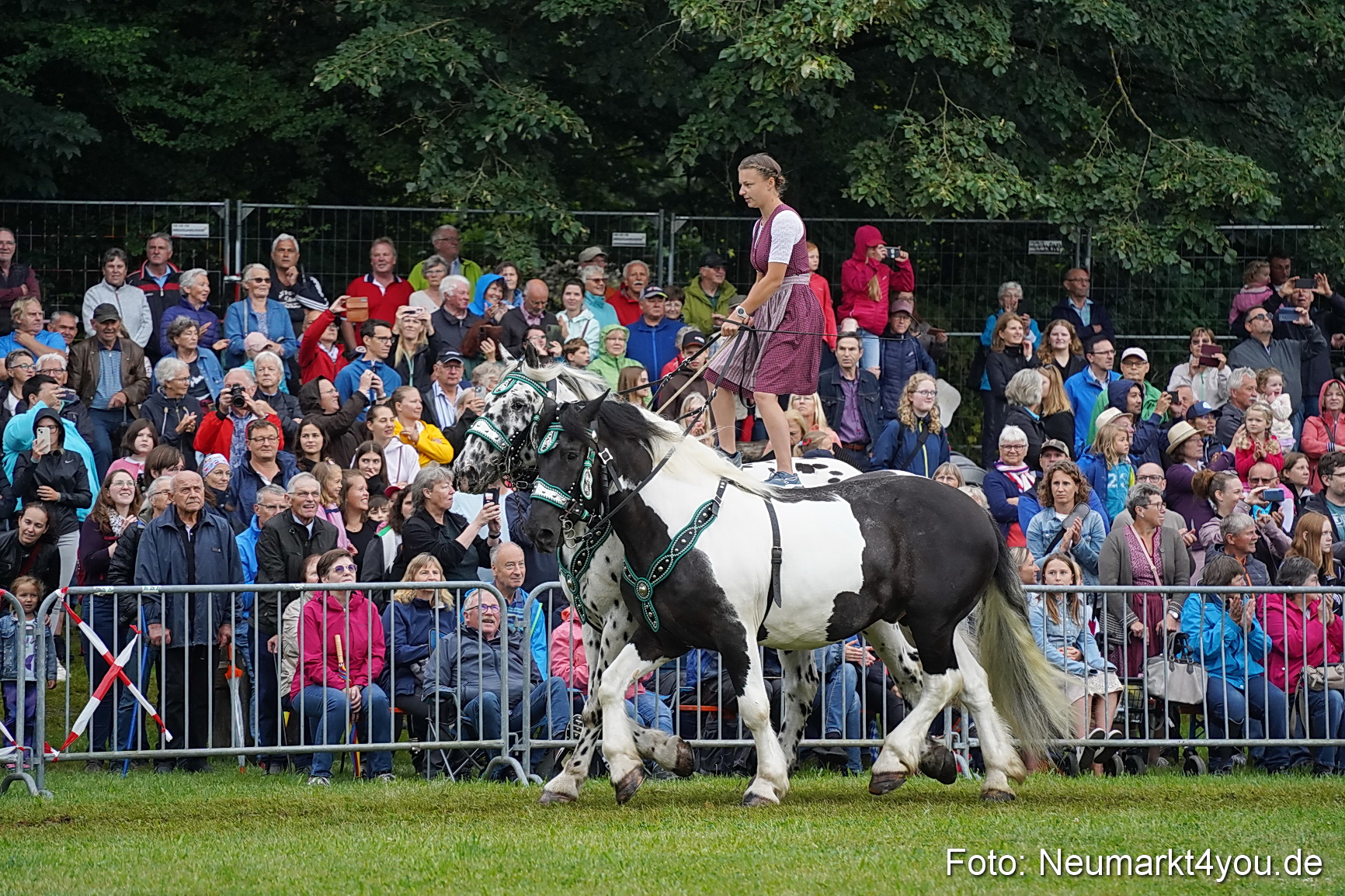 Pferde und Fohlenschau 2024 0131