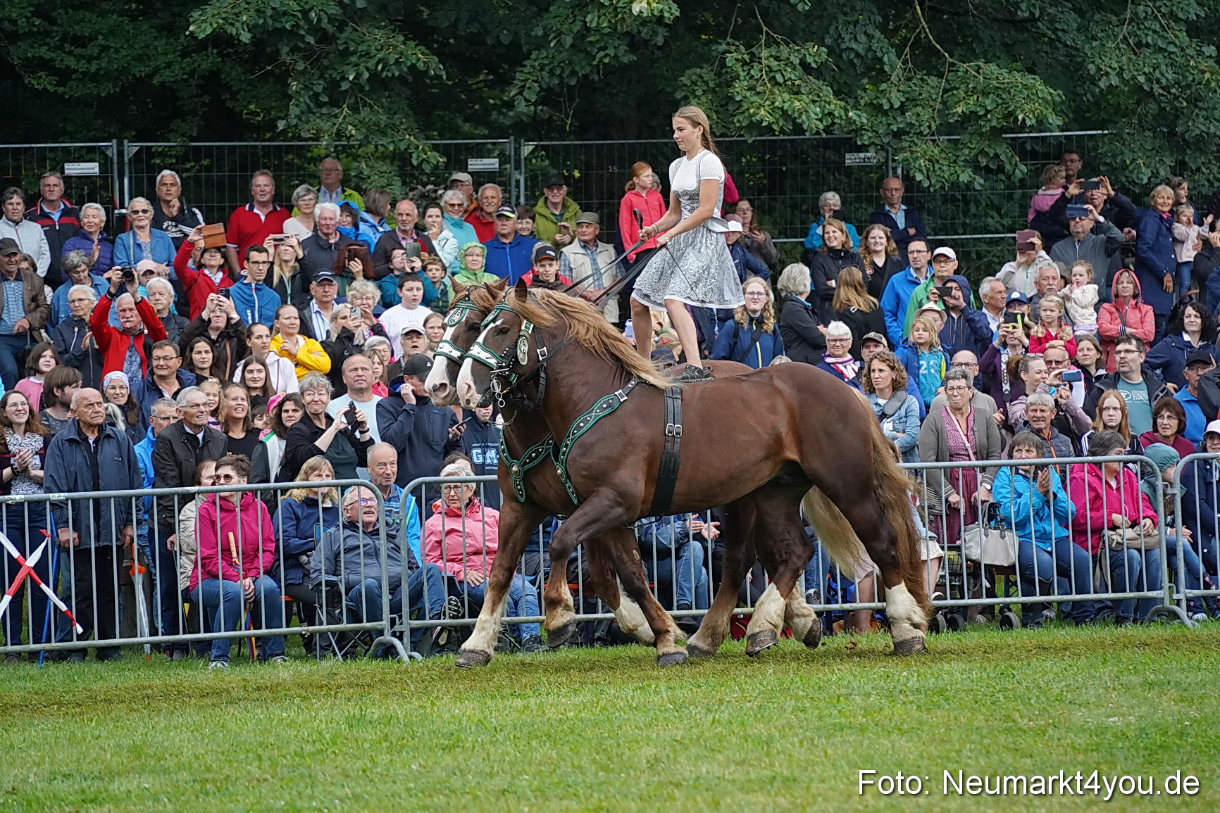 Pferde und Fohlenschau 2024 0132