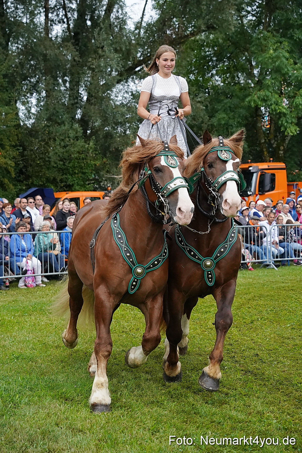 Pferde und Fohlenschau 2024 0135