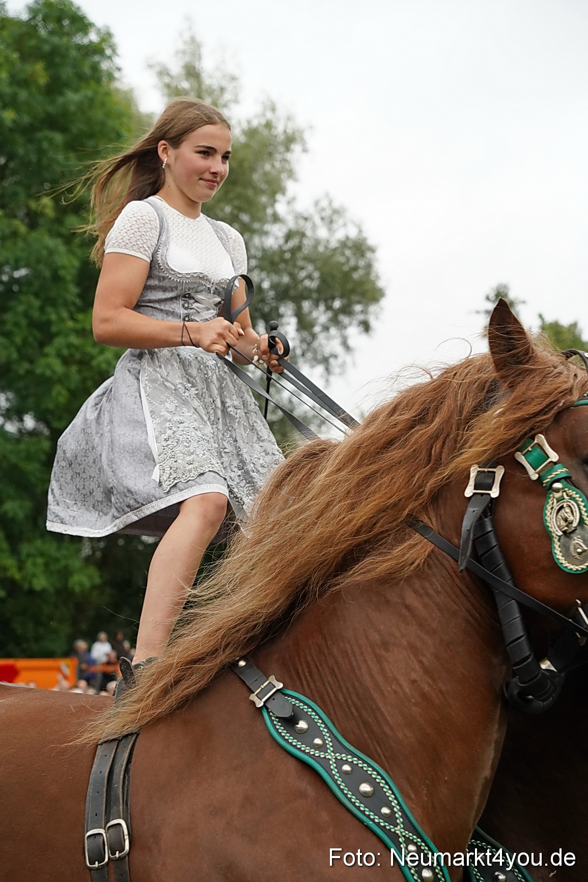 Pferde und Fohlenschau 2024 0136