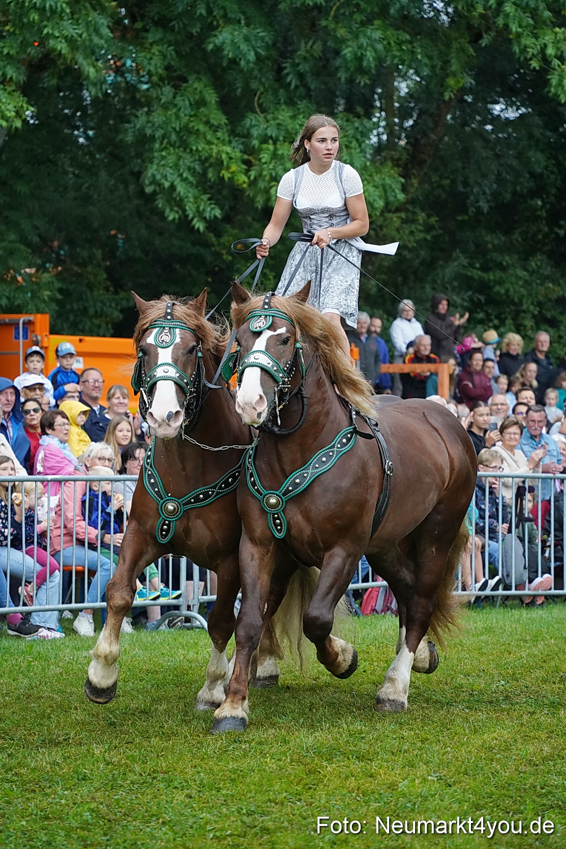 Pferde und Fohlenschau 2024 0137