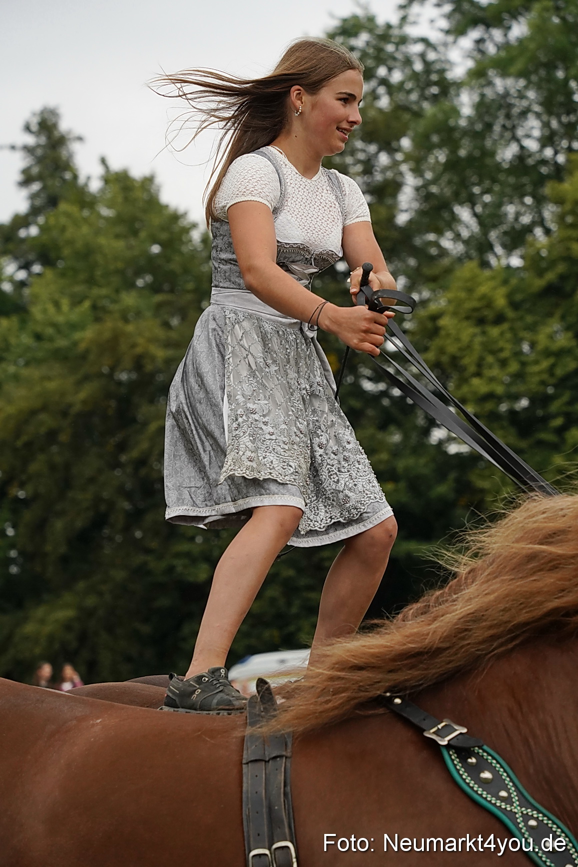 Pferde und Fohlenschau 2024 0138