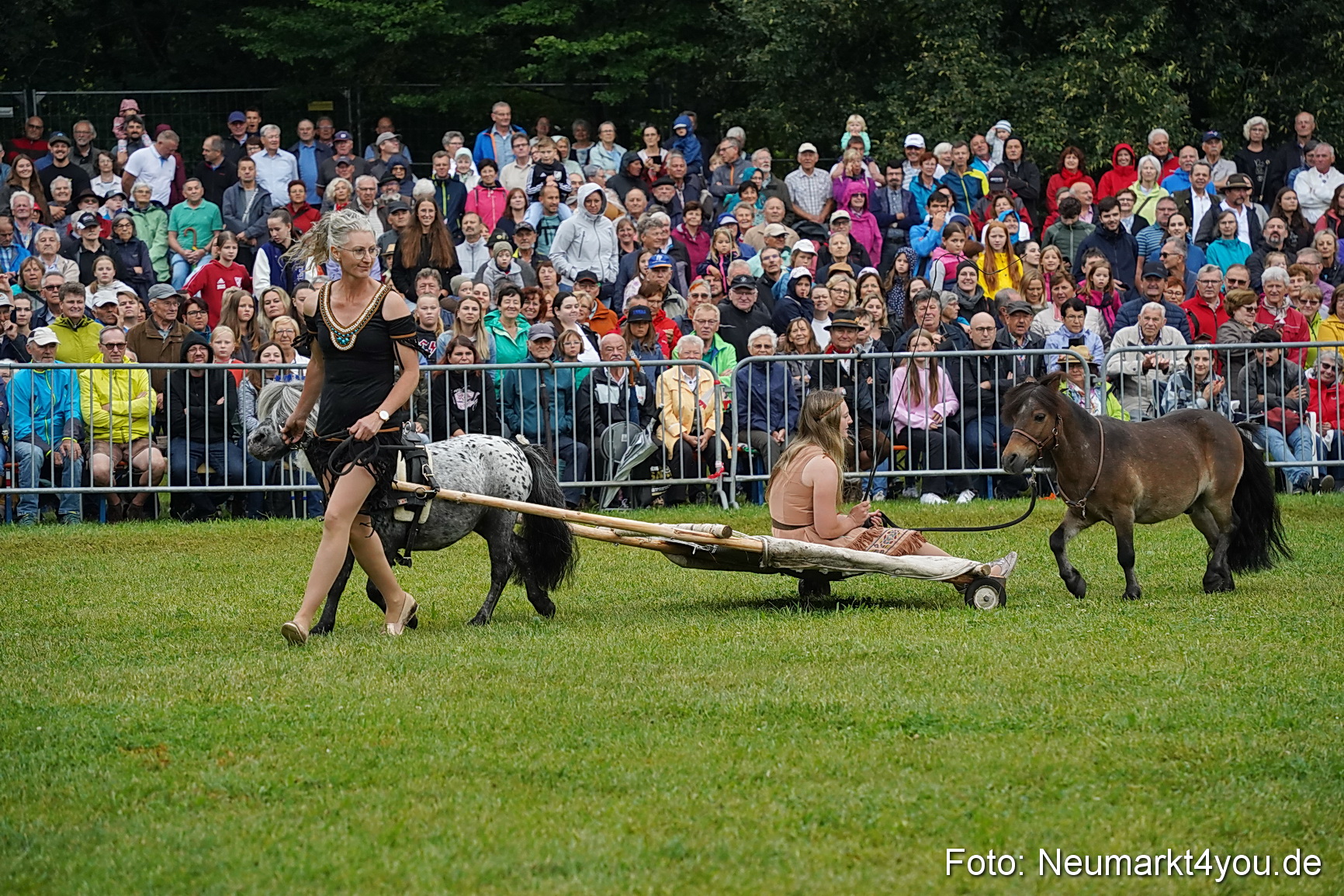 Pferde und Fohlenschau 2024 0141