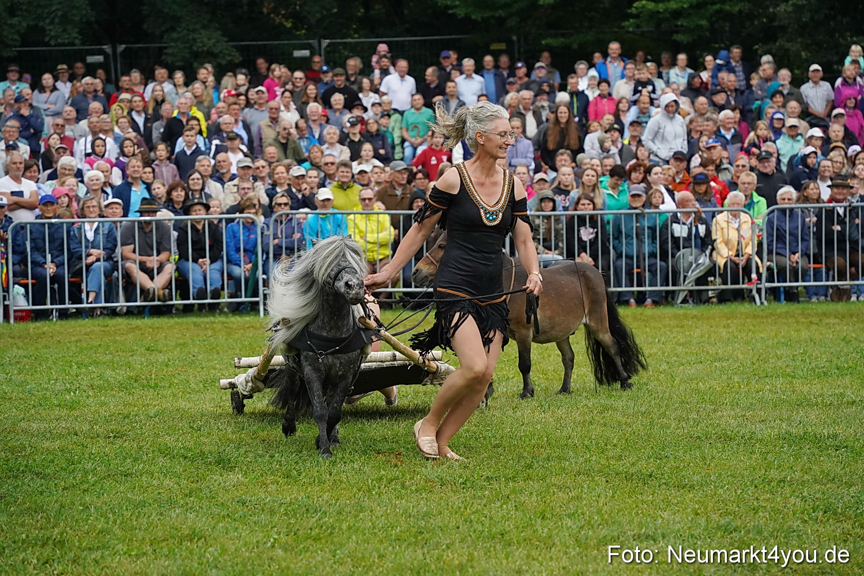 Pferde und Fohlenschau 2024 0142