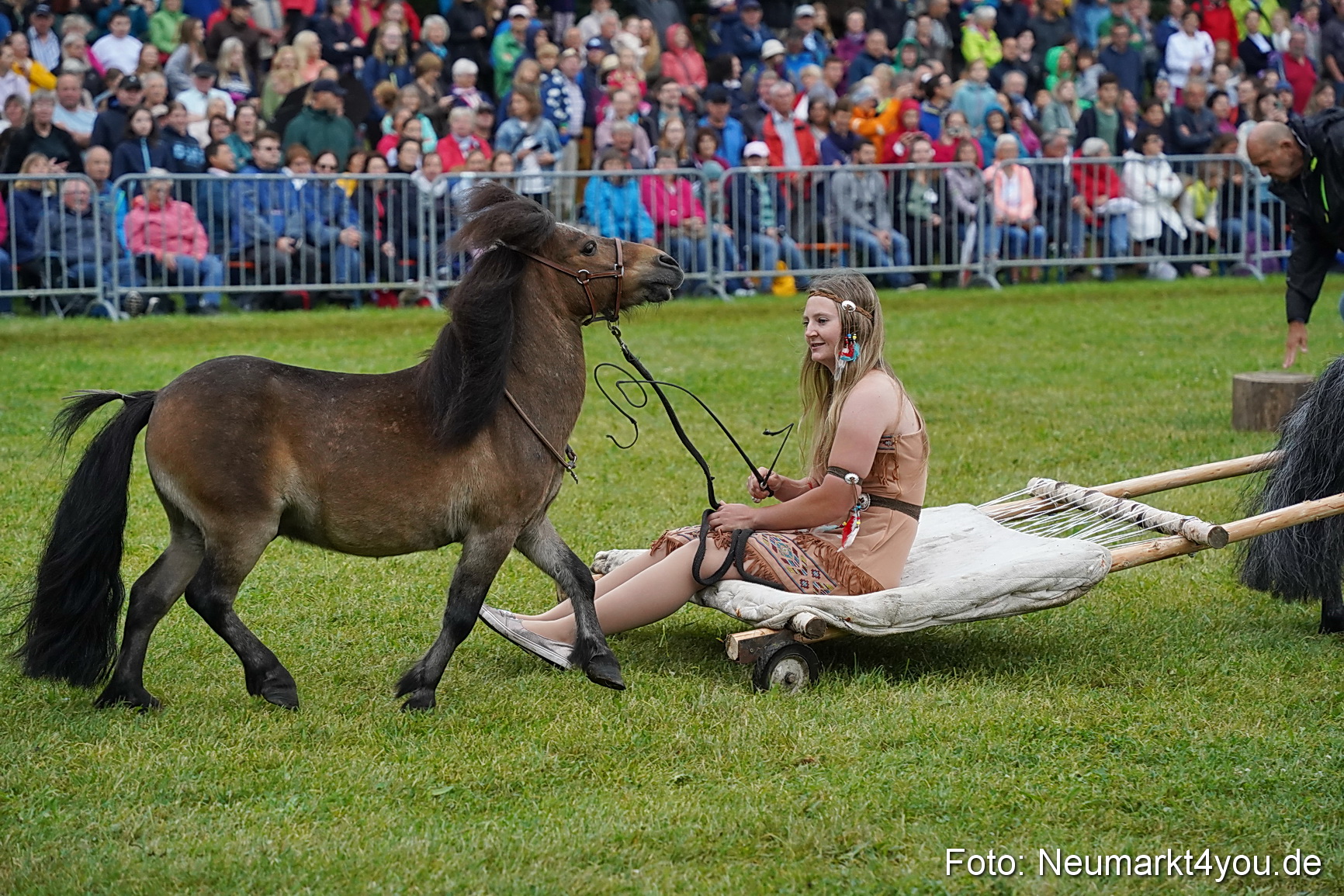 Pferde und Fohlenschau 2024 0143