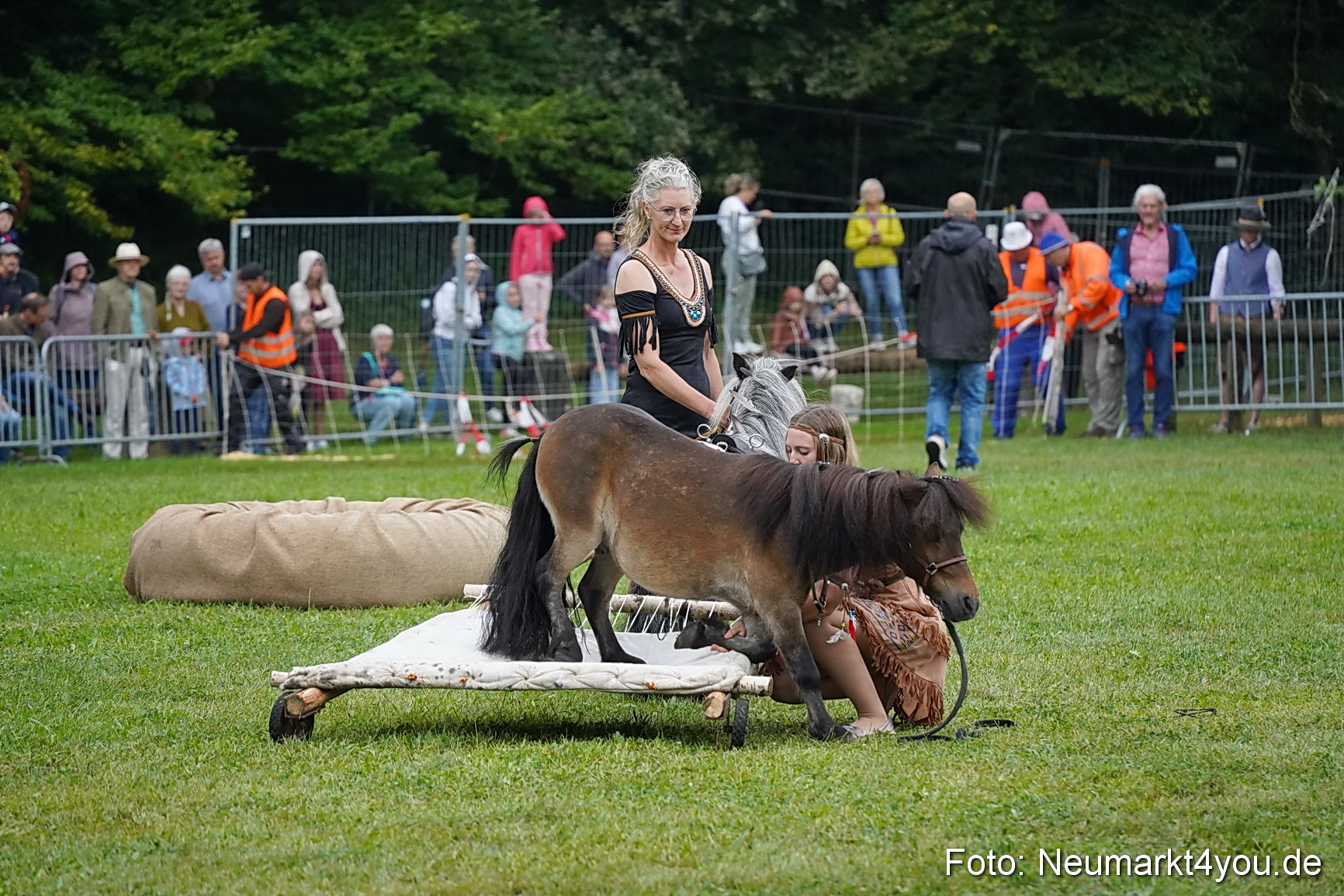 Pferde und Fohlenschau 2024 0144