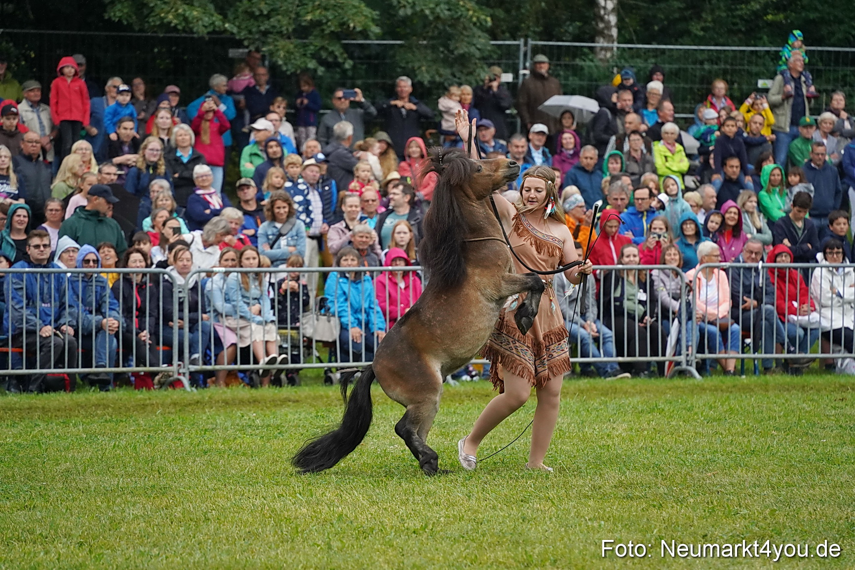 Pferde und Fohlenschau 2024 0148