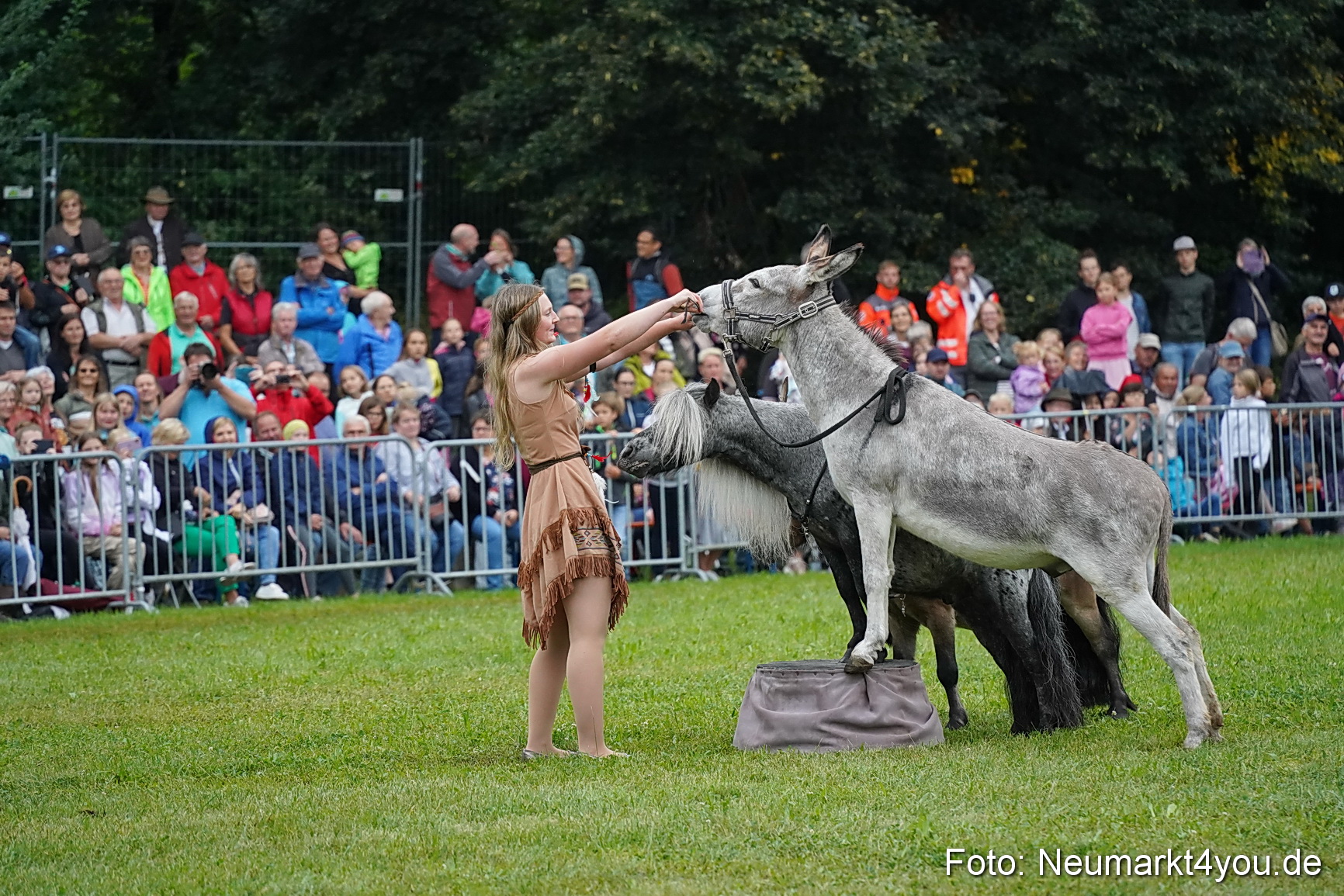 Pferde und Fohlenschau 2024 0149