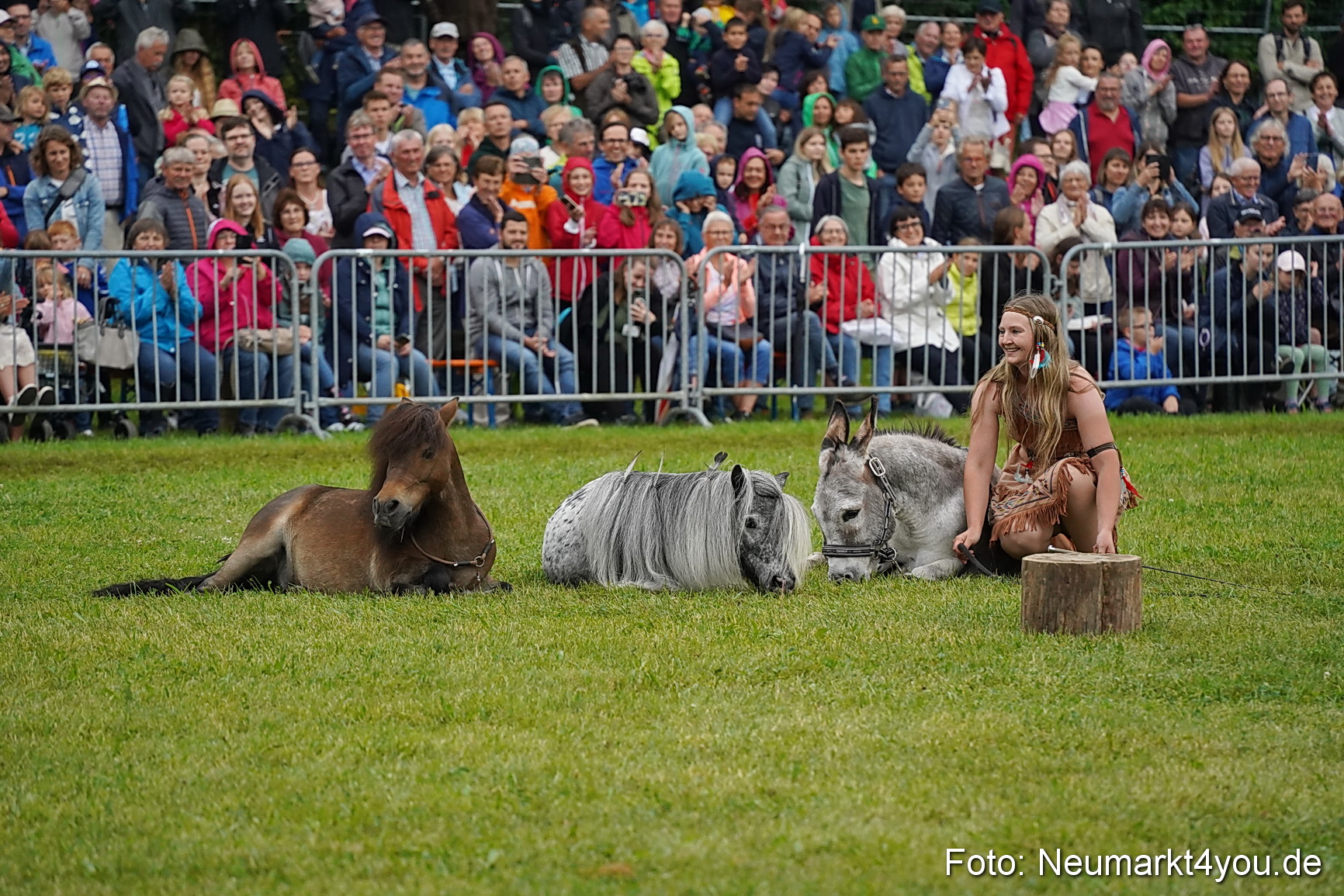 Pferde und Fohlenschau 2024 0150