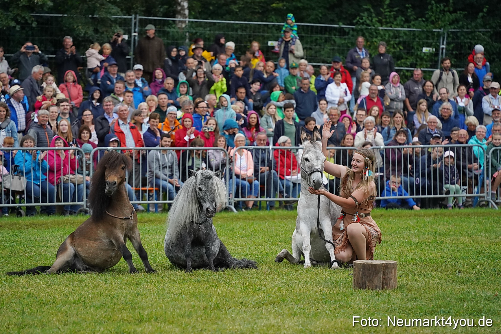 Pferde und Fohlenschau 2024 0151
