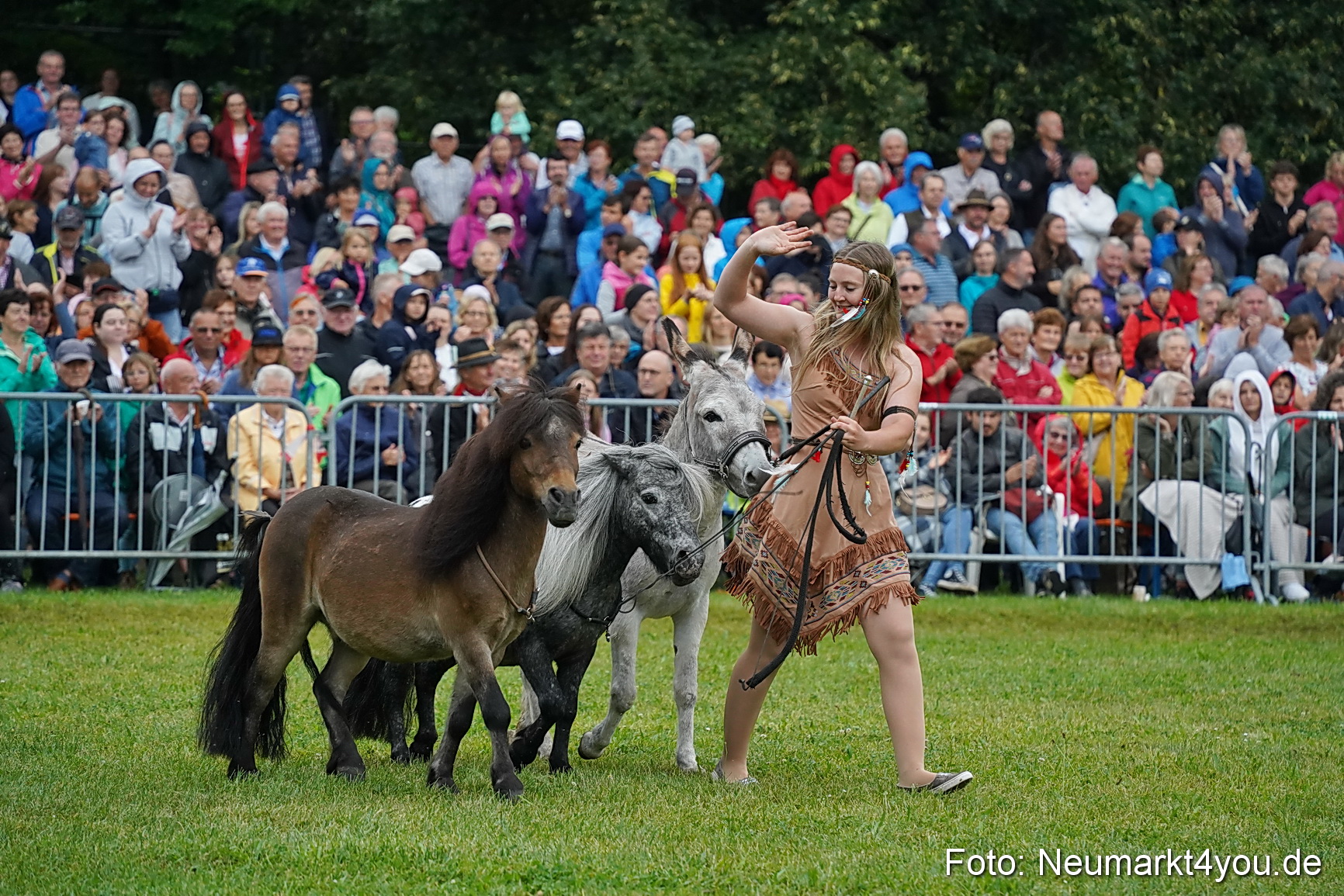 Pferde und Fohlenschau 2024 0152